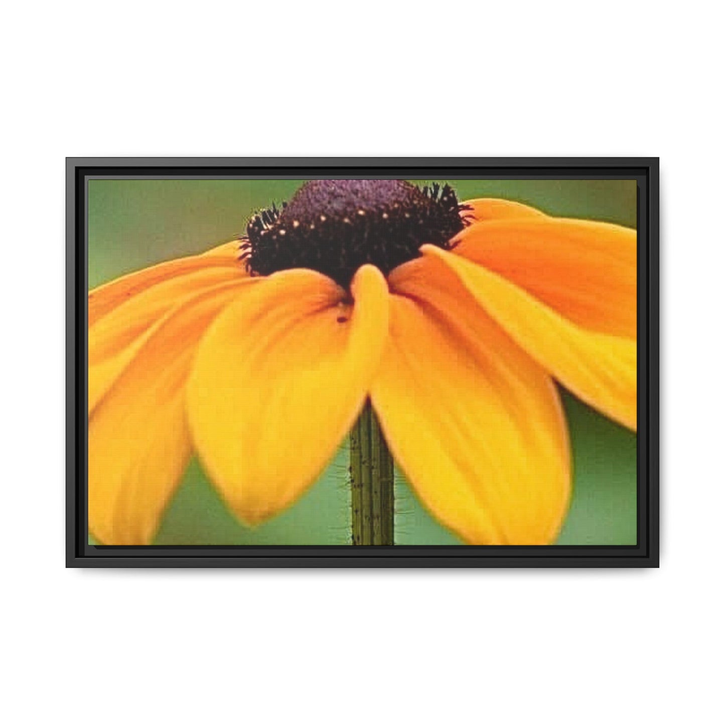 Framed Canvas Art Print, Vibrant Flower Wall Decor, Nature Photography for Home, Gift for Garden Lover, Modern Room Accent, Floral Artwork