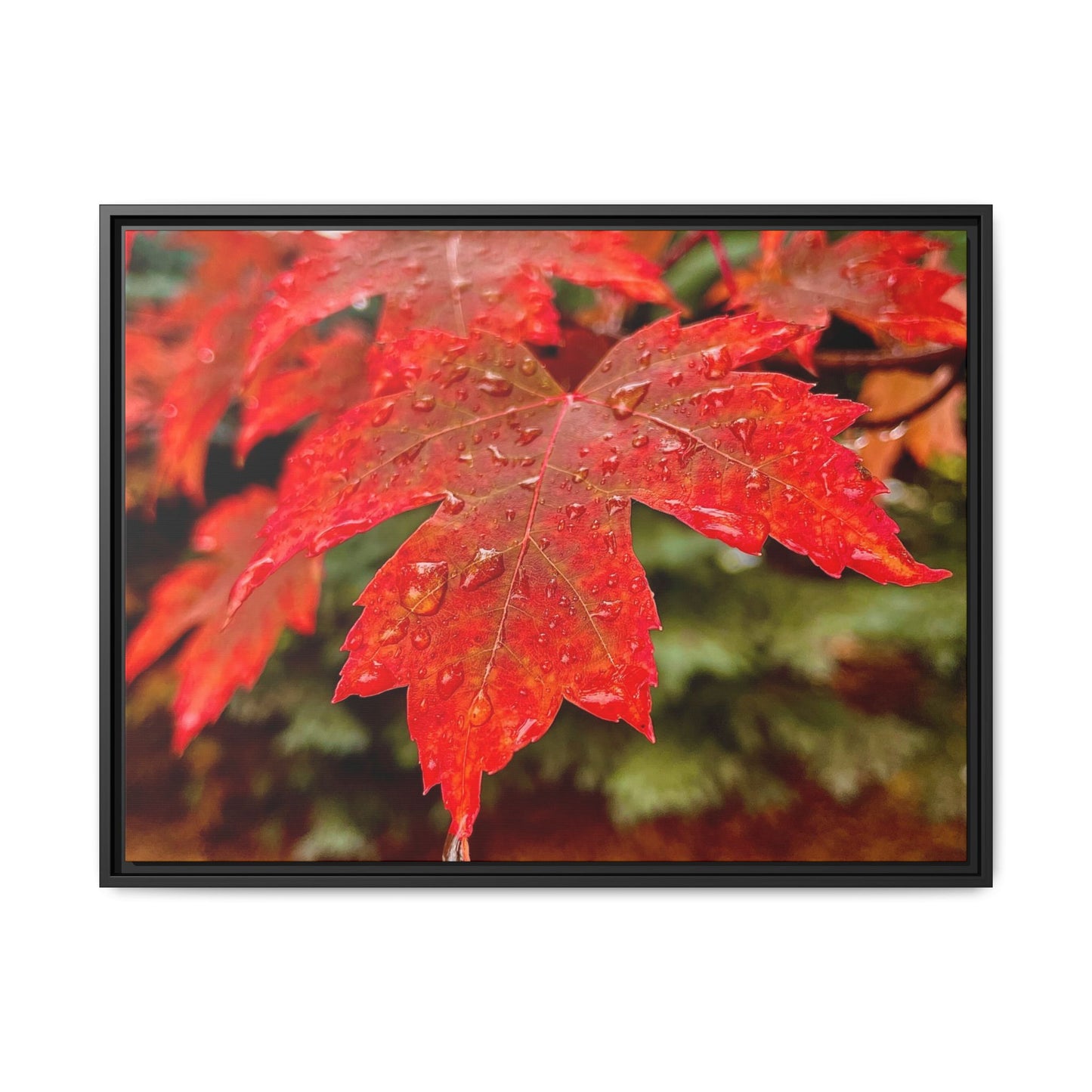 Vibrant Nature Wall Art, Autumn Decor, Framed Canvas Print, Home Decor, Gift for Nature Lovers, Fall Decoration, Thanksgiving