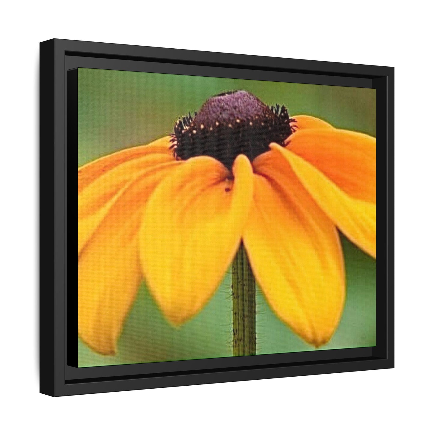 Framed Canvas Art Print, Vibrant Flower Wall Decor, Nature Photography for Home, Gift for Garden Lover, Modern Room Accent, Floral Artwork