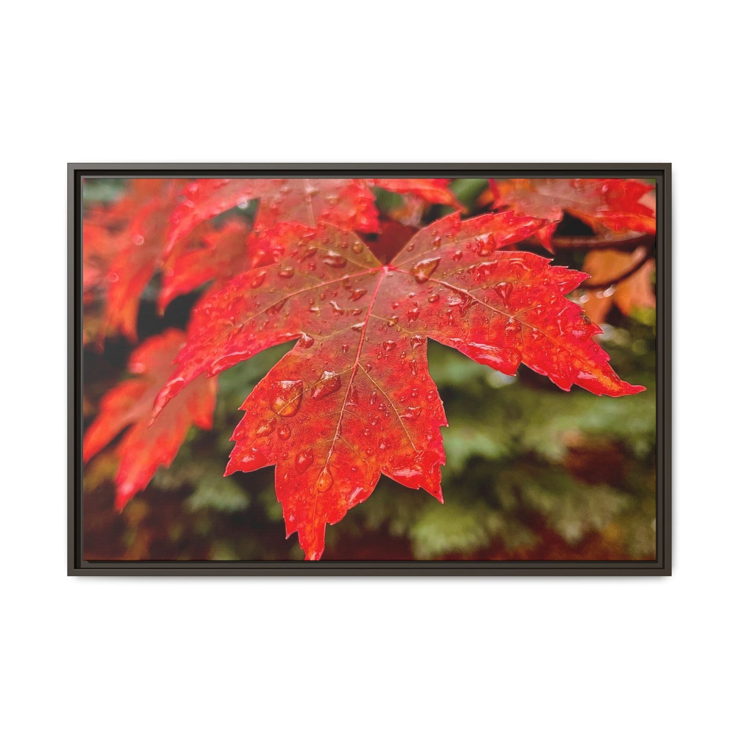 Vibrant Nature Wall Art, Autumn Decor, Framed Canvas Print, Home Decor, Gift for Nature Lovers, Fall Decoration, Thanksgiving