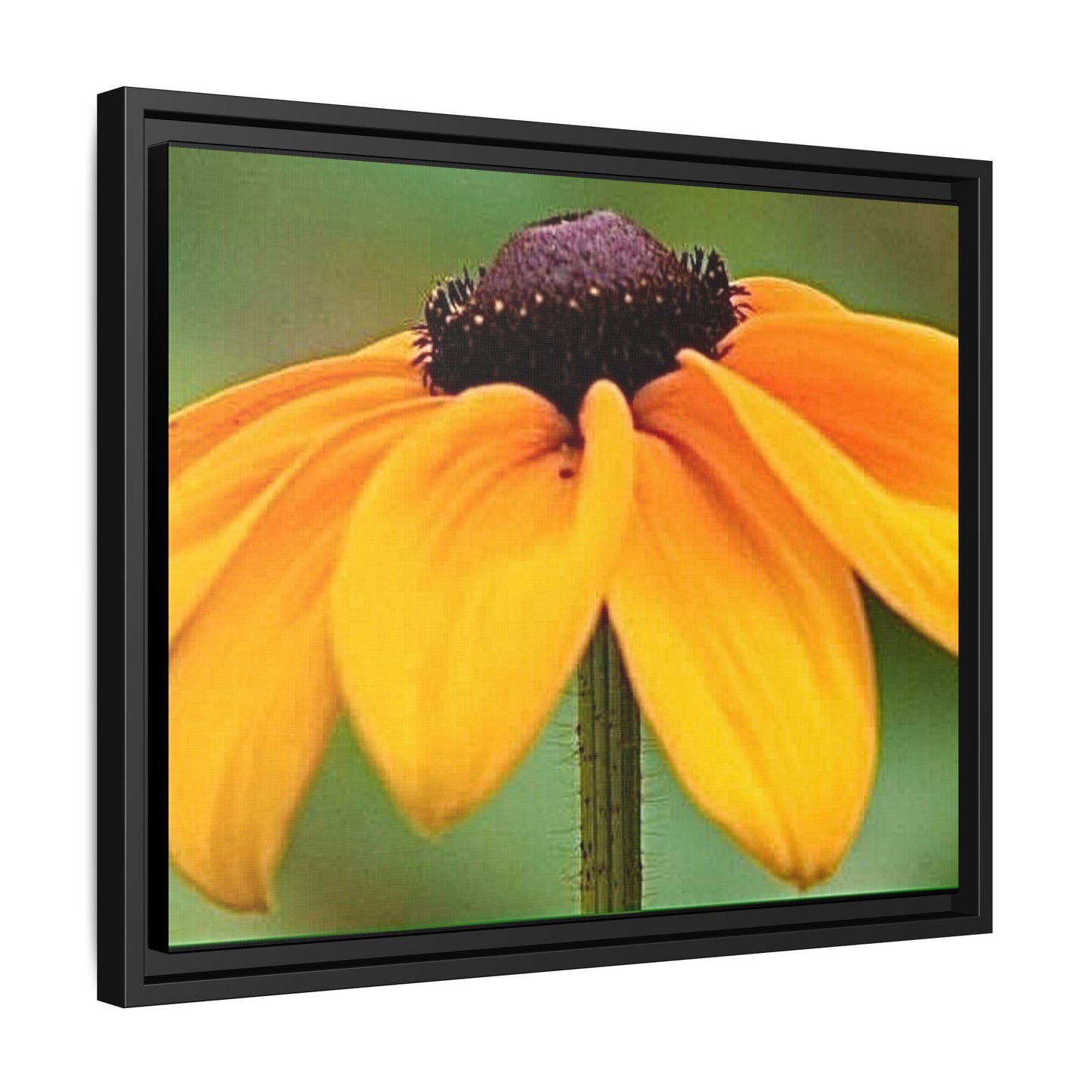 Framed Canvas Art Print, Vibrant Flower Wall Decor, Nature Photography for Home, Gift for Garden Lover, Modern Room Accent, Floral Artwork