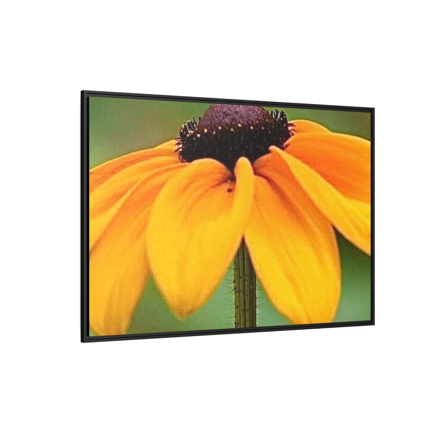 Framed Canvas Art Print, Vibrant Flower Wall Decor, Nature Photography for Home, Gift for Garden Lover, Modern Room Accent, Floral Artwork