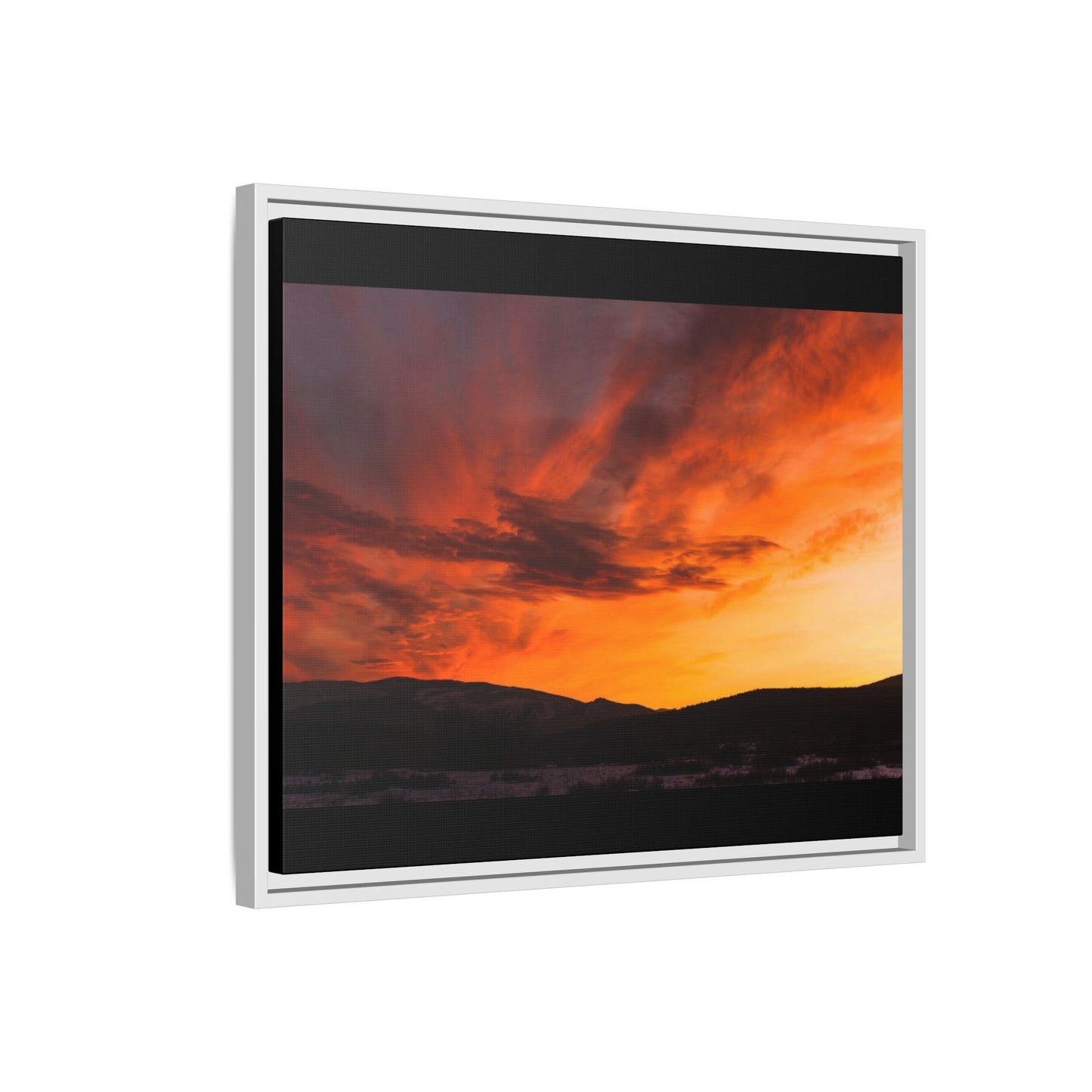 Framed Canvas