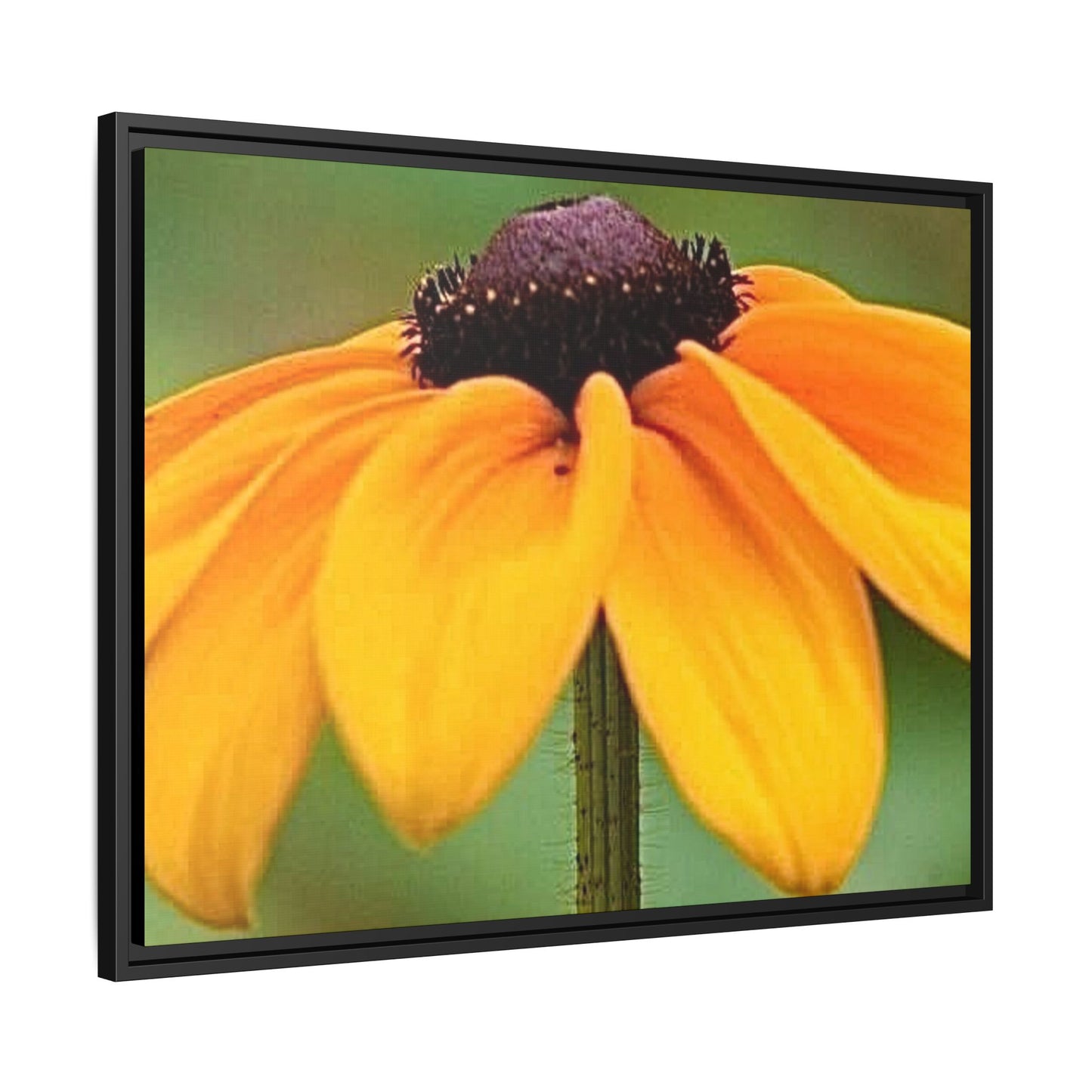 Framed Canvas Art Print, Vibrant Flower Wall Decor, Nature Photography for Home, Gift for Garden Lover, Modern Room Accent, Floral Artwork
