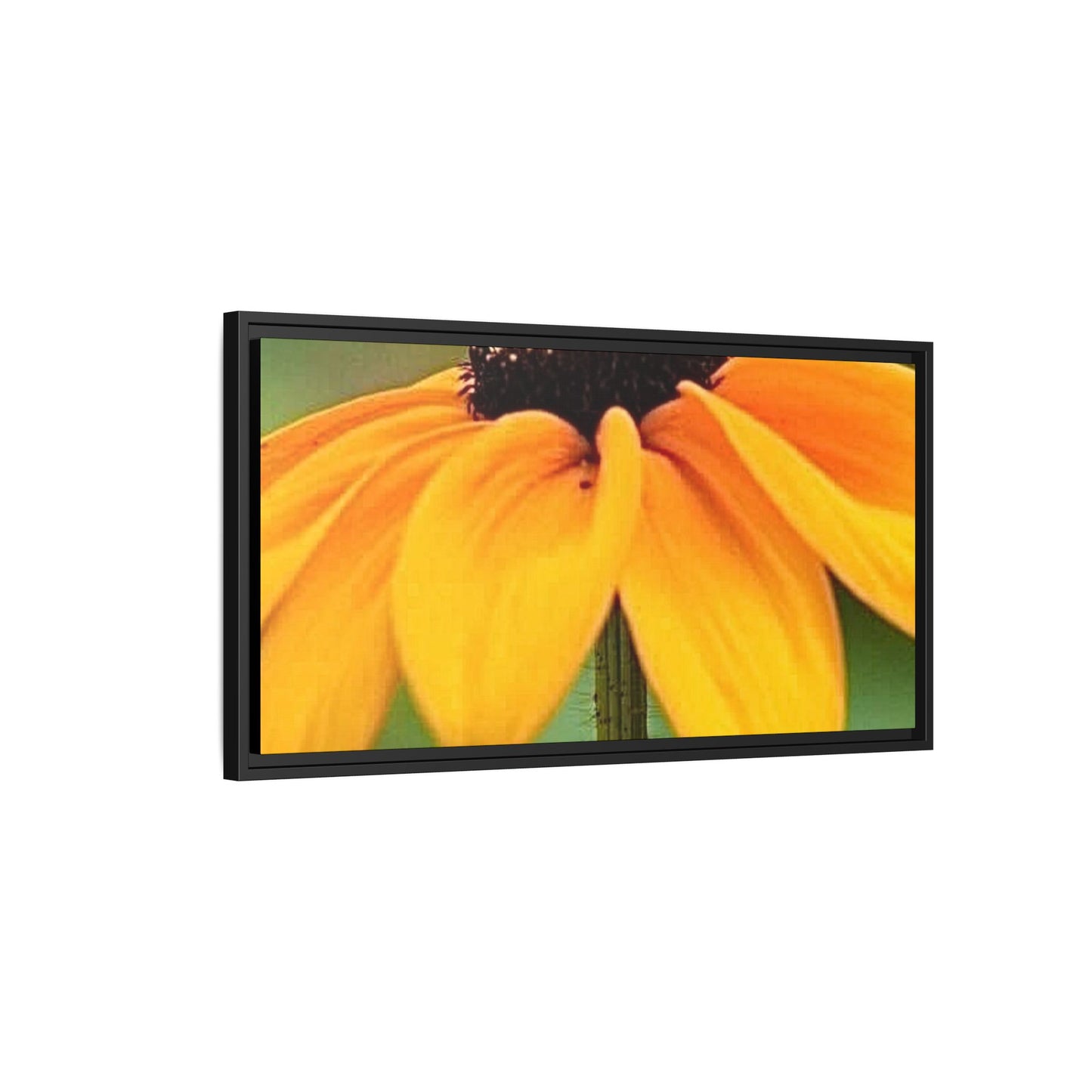 Framed Canvas Art Print, Vibrant Flower Wall Decor, Nature Photography for Home, Gift for Garden Lover, Modern Room Accent, Floral Artwork
