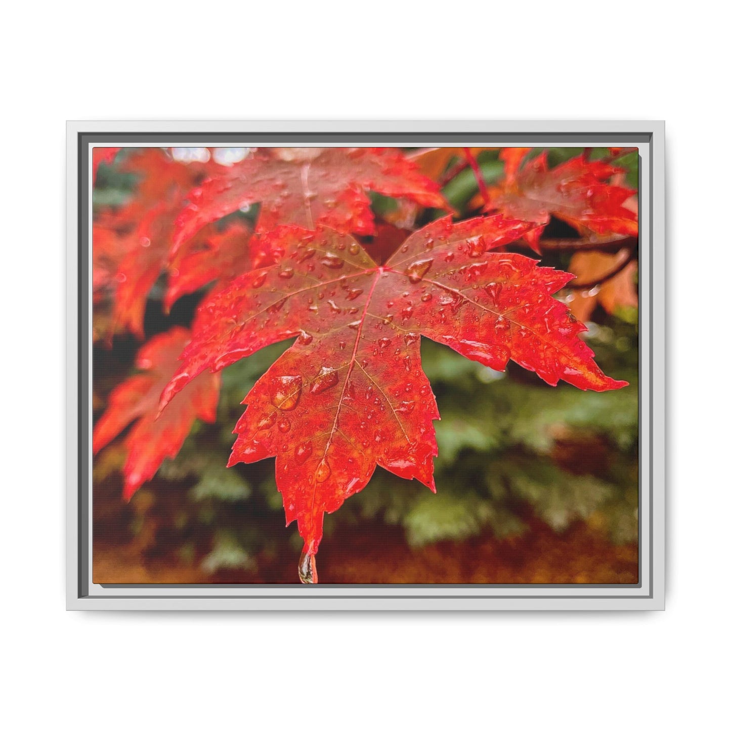 Vibrant Nature Wall Art, Autumn Decor, Framed Canvas Print, Home Decor, Gift for Nature Lovers, Fall Decoration, Thanksgiving