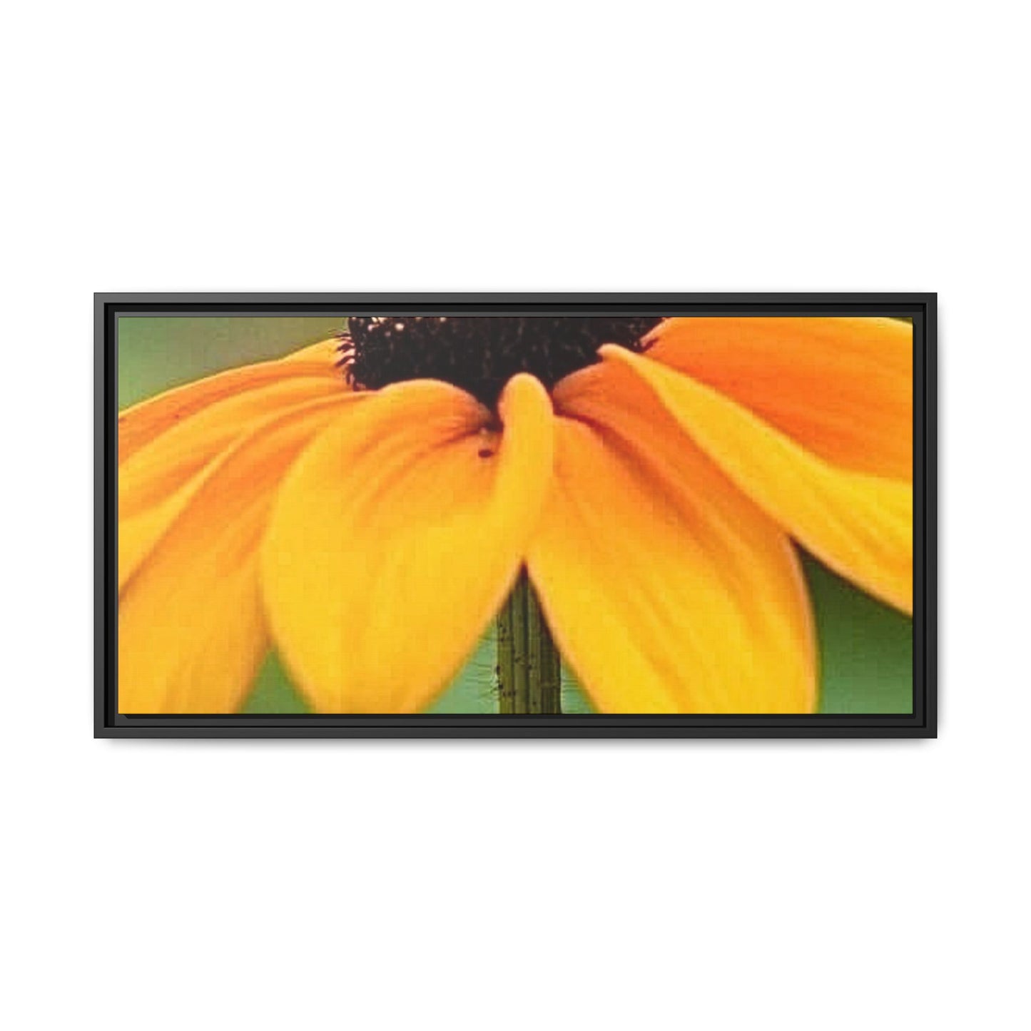 Framed Canvas Art Print, Vibrant Flower Wall Decor, Nature Photography for Home, Gift for Garden Lover, Modern Room Accent, Floral Artwork