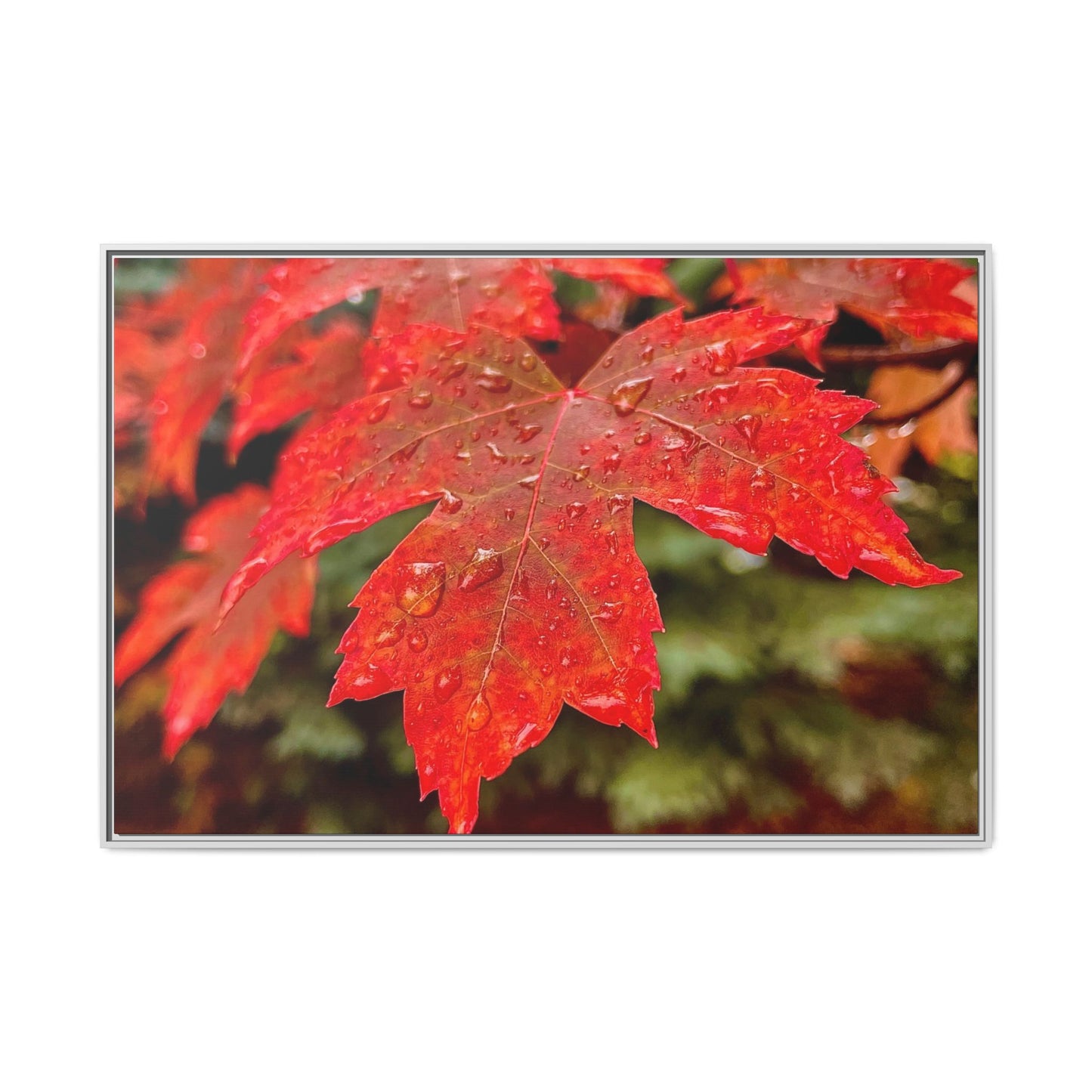 Vibrant Nature Wall Art, Autumn Decor, Framed Canvas Print, Home Decor, Gift for Nature Lovers, Fall Decoration, Thanksgiving