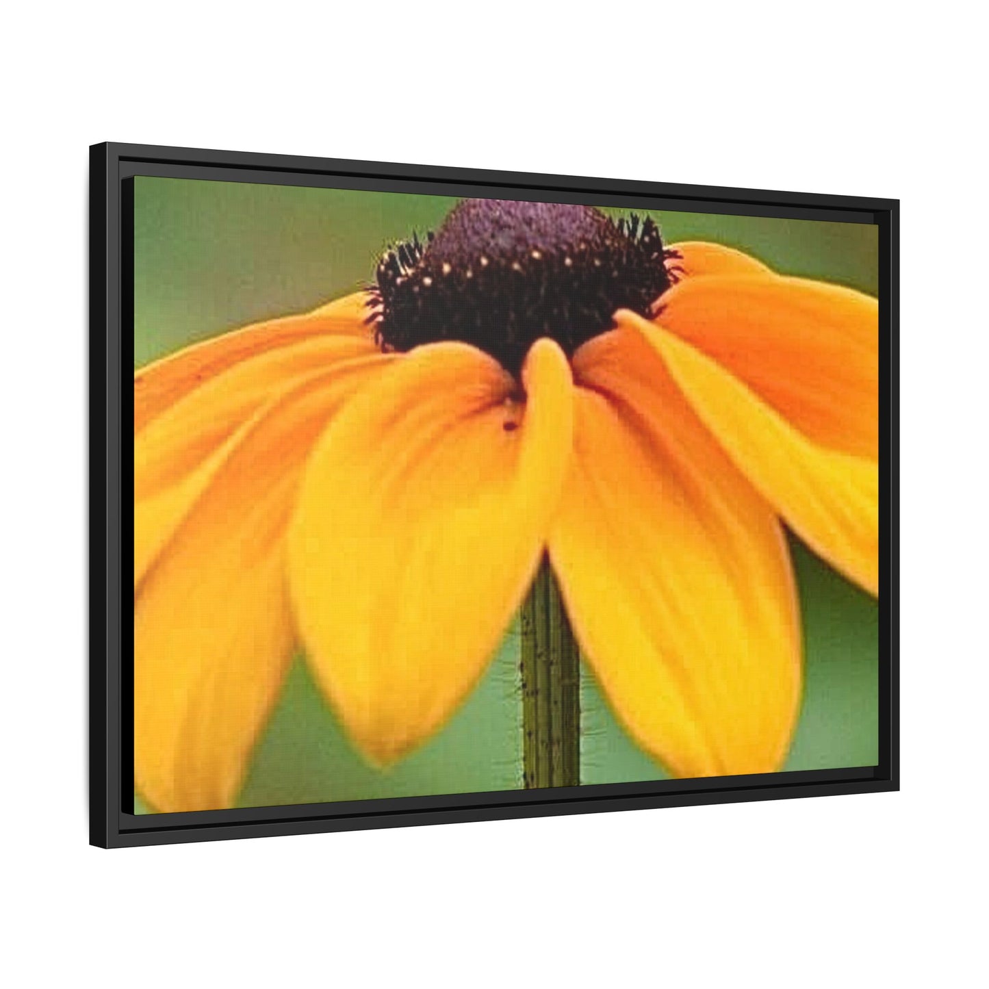 Framed Canvas Art Print, Vibrant Flower Wall Decor, Nature Photography for Home, Gift for Garden Lover, Modern Room Accent, Floral Artwork