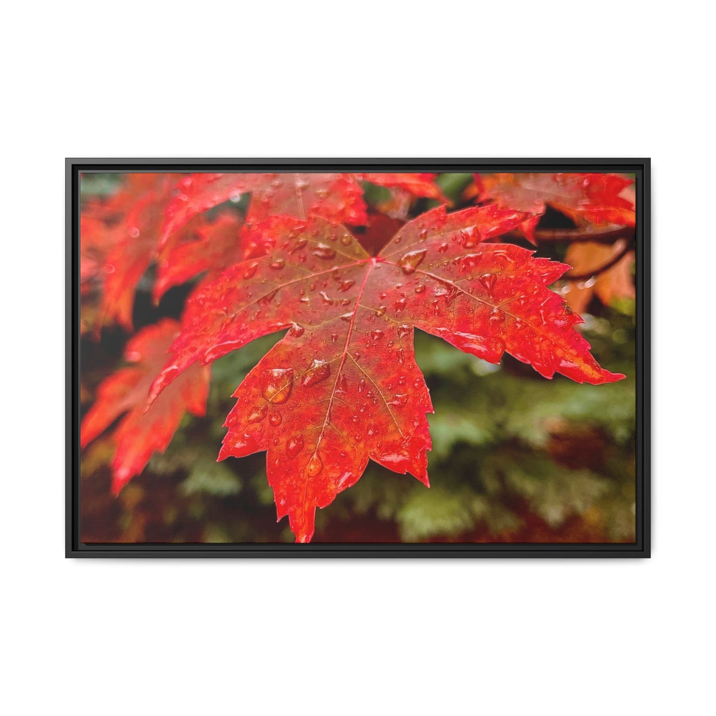 Vibrant Nature Wall Art, Autumn Decor, Framed Canvas Print, Home Decor, Gift for Nature Lovers, Fall Decoration, Thanksgiving