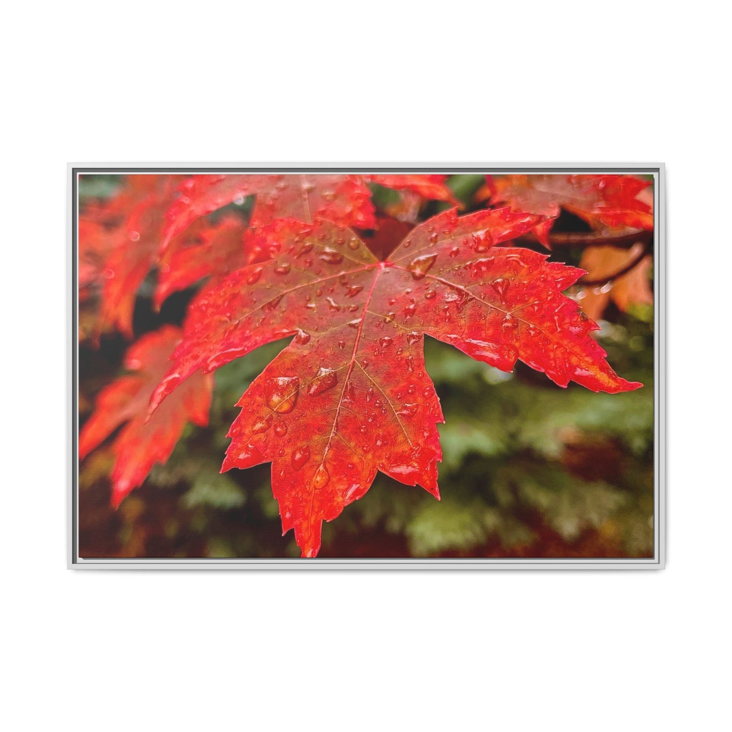 Vibrant Nature Wall Art, Autumn Decor, Framed Canvas Print, Home Decor, Gift for Nature Lovers, Fall Decoration, Thanksgiving