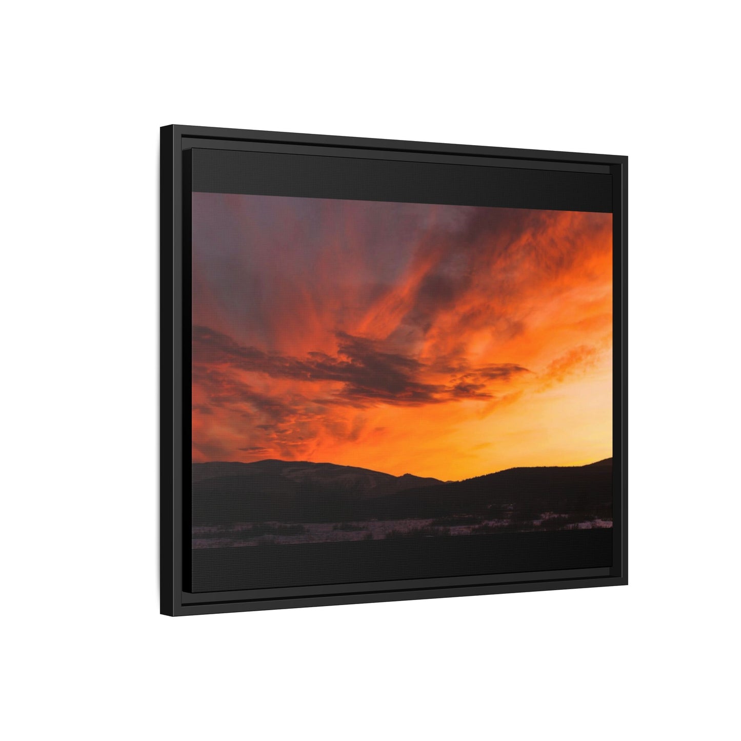 Framed Canvas