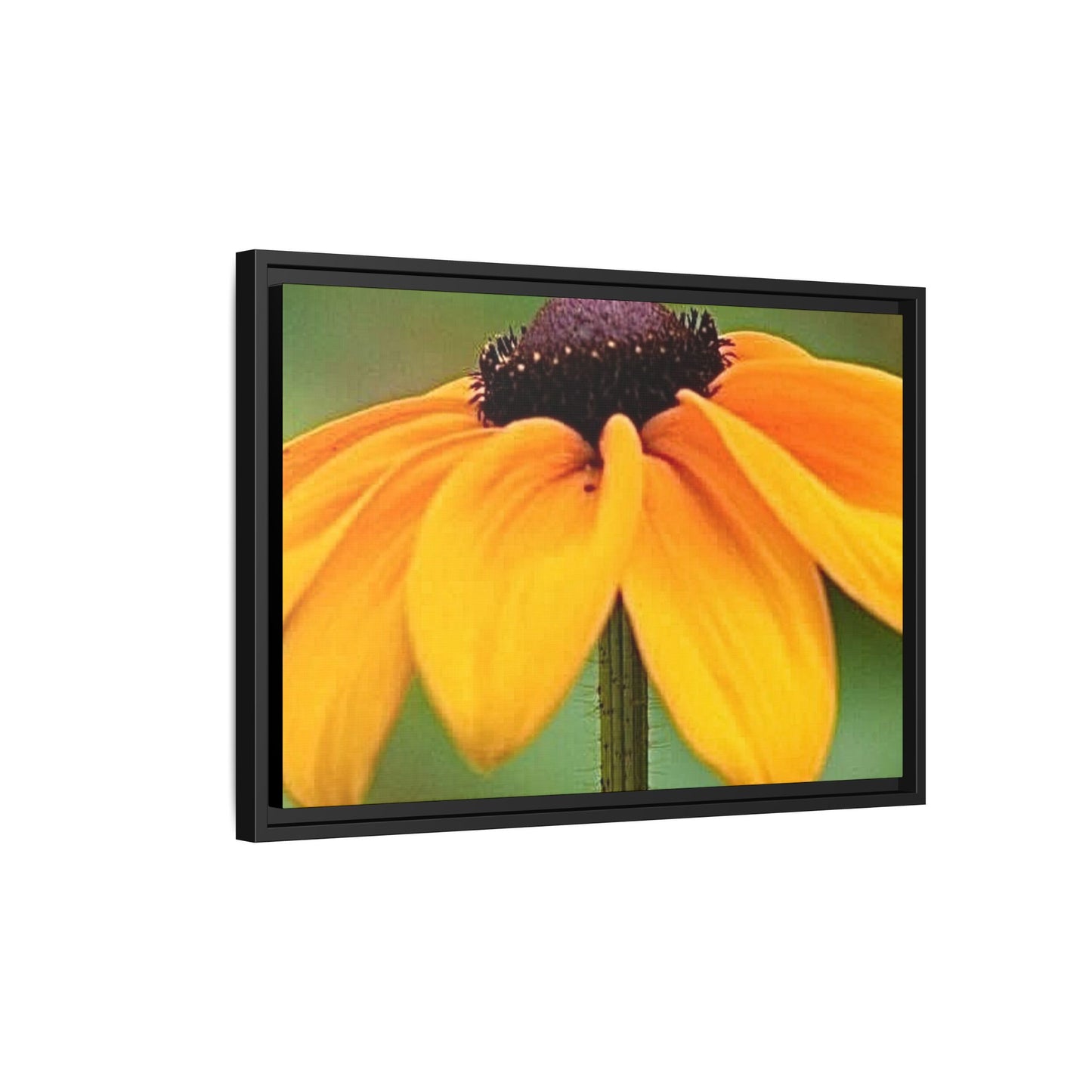 Framed Canvas Art Print, Vibrant Flower Wall Decor, Nature Photography for Home, Gift for Garden Lover, Modern Room Accent, Floral Artwork