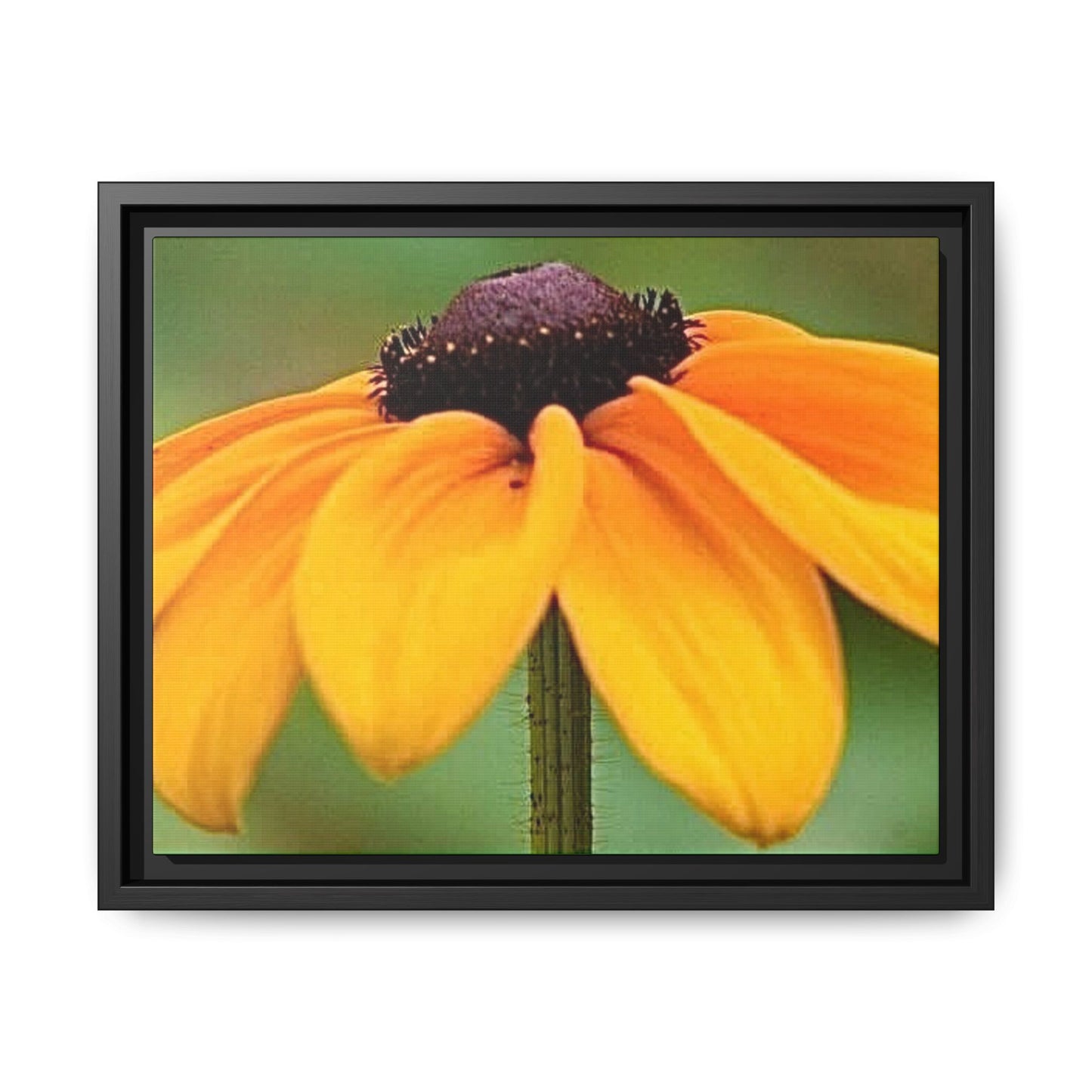 Framed Canvas Art Print, Vibrant Flower Wall Decor, Nature Photography for Home, Gift for Garden Lover, Modern Room Accent, Floral Artwork