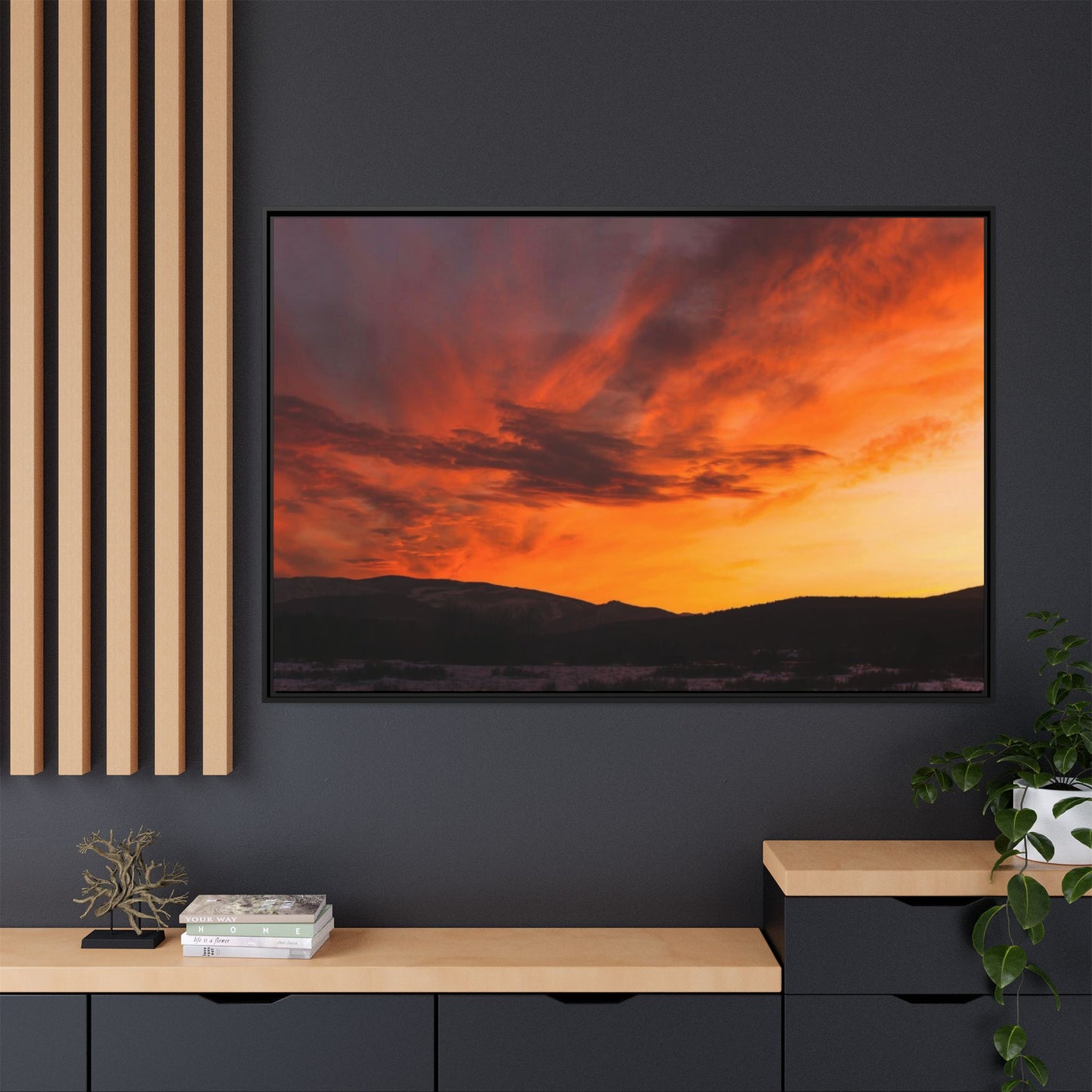 Framed Canvas