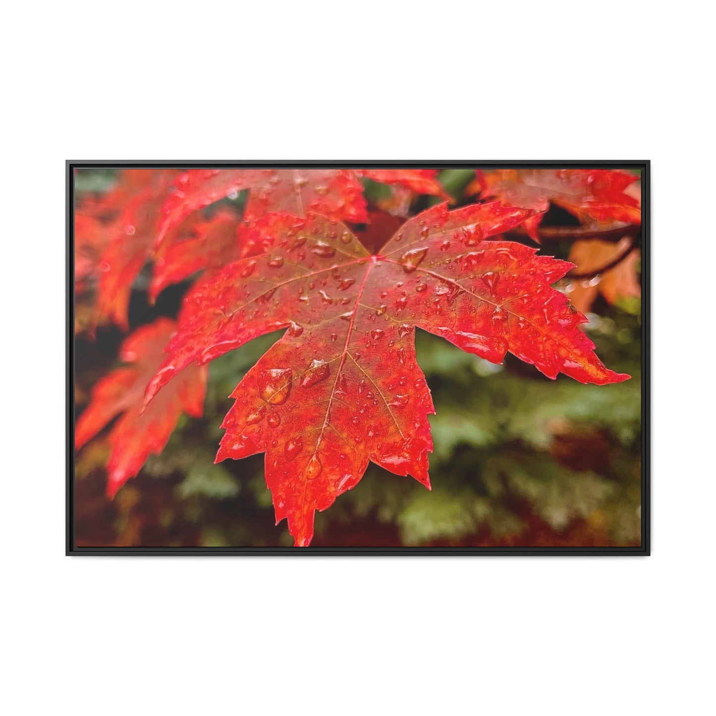 Vibrant Nature Wall Art, Autumn Decor, Framed Canvas Print, Home Decor, Gift for Nature Lovers, Fall Decoration, Thanksgiving