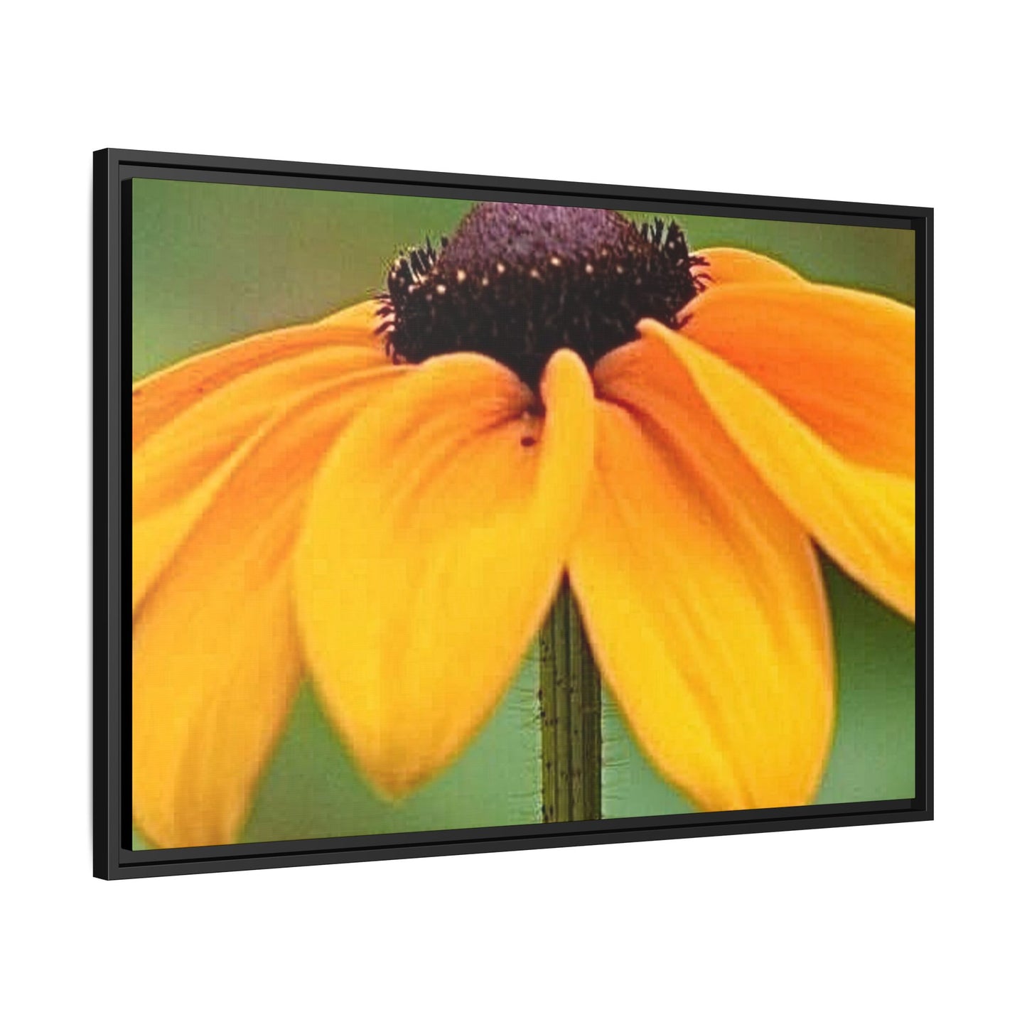 Framed Canvas Art Print, Vibrant Flower Wall Decor, Nature Photography for Home, Gift for Garden Lover, Modern Room Accent, Floral Artwork