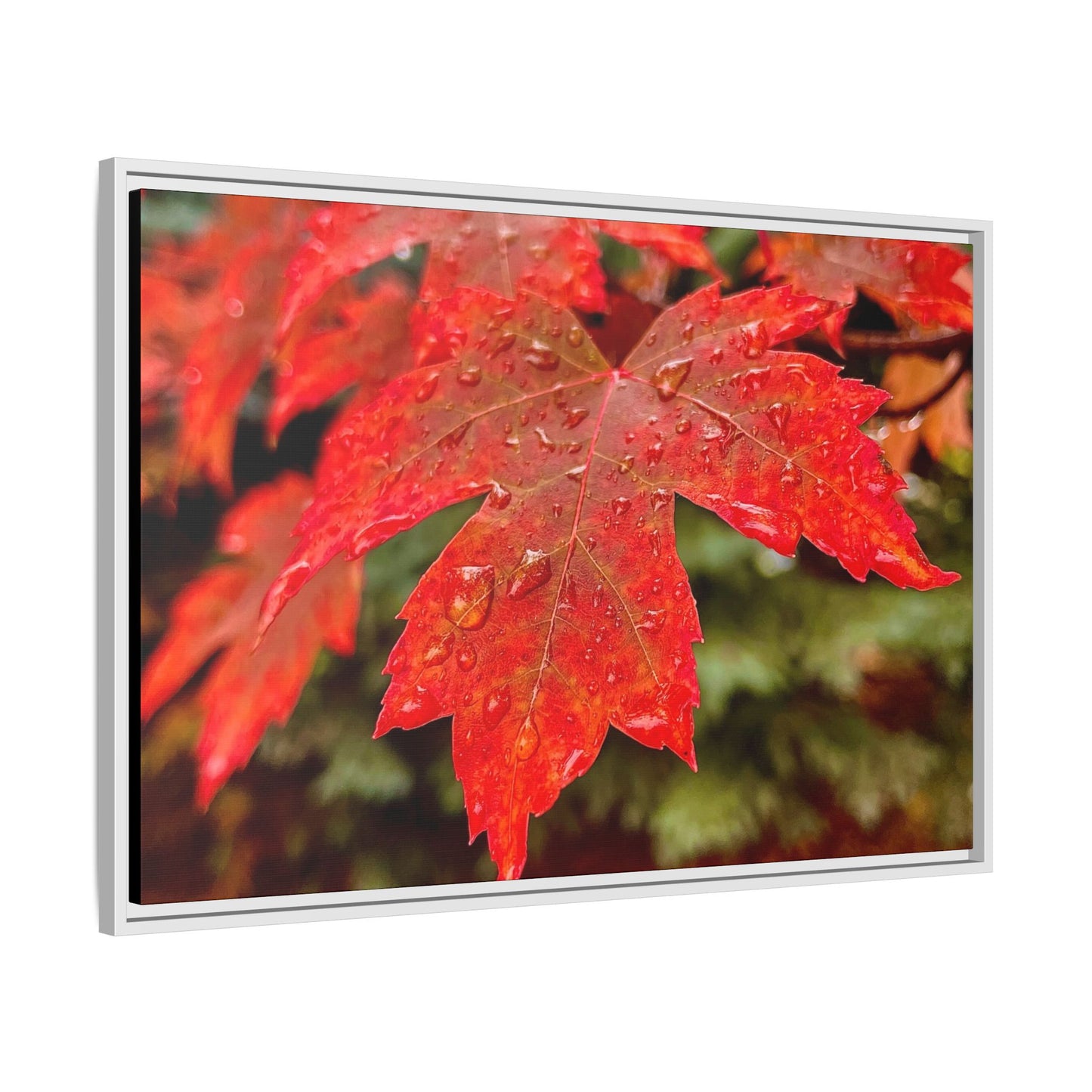 Vibrant Nature Wall Art, Autumn Decor, Framed Canvas Print, Home Decor, Gift for Nature Lovers, Fall Decoration, Thanksgiving