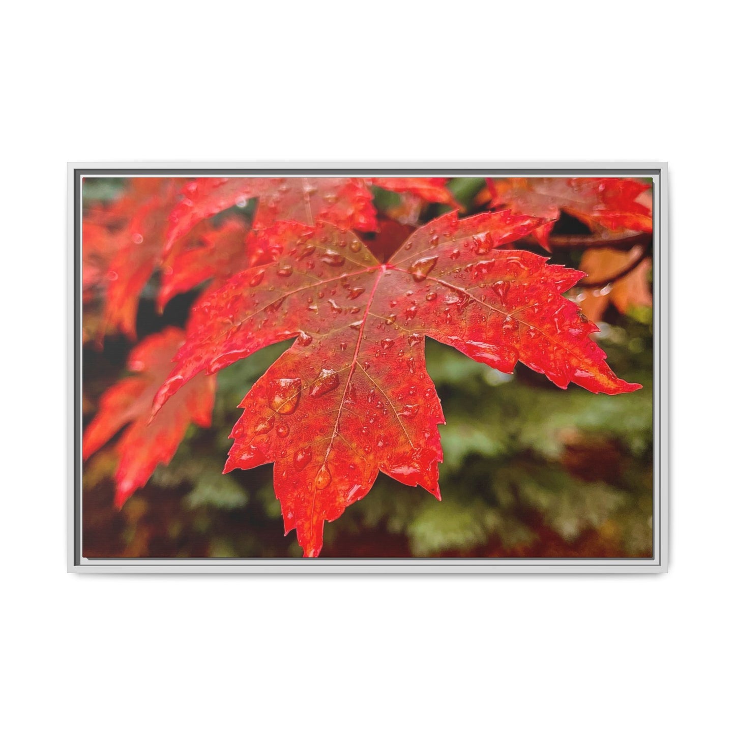 Vibrant Nature Wall Art, Autumn Decor, Framed Canvas Print, Home Decor, Gift for Nature Lovers, Fall Decoration, Thanksgiving