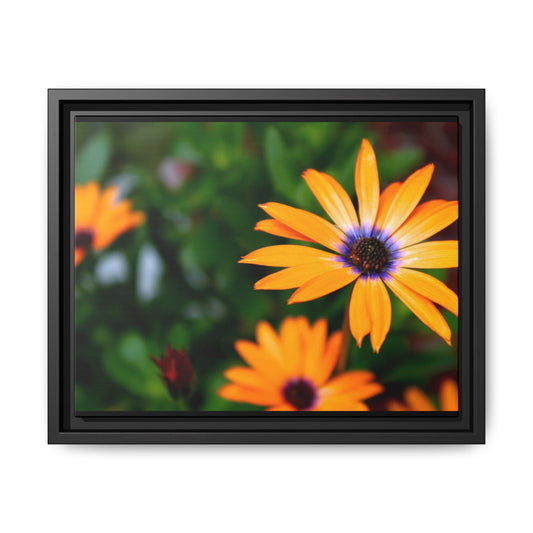 Colorful Flower Framed Matte Canvas Art, Bright Home Decor, Floral Wall Art, Gift for Nature Lovers, Cheerful Room Decoration
