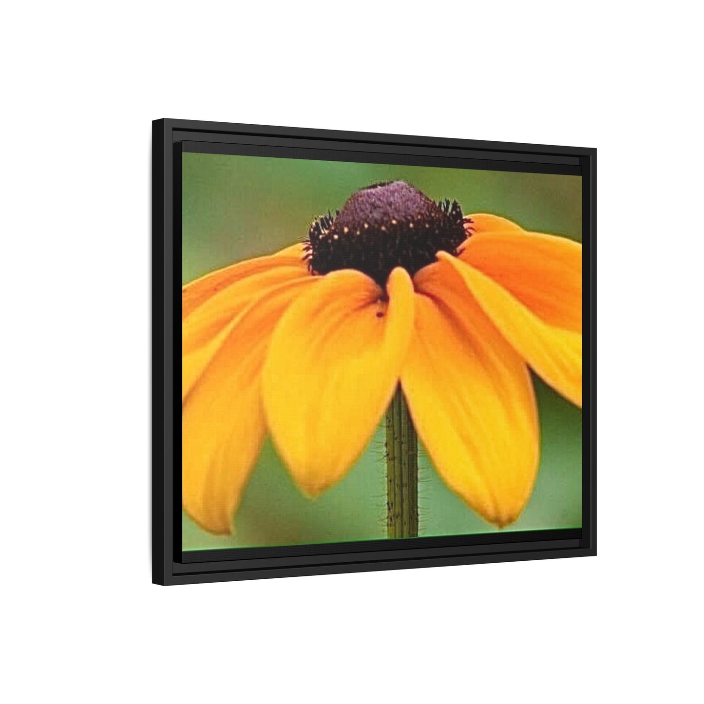 Framed Canvas Art Print, Vibrant Flower Wall Decor, Nature Photography for Home, Gift for Garden Lover, Modern Room Accent, Floral Artwork