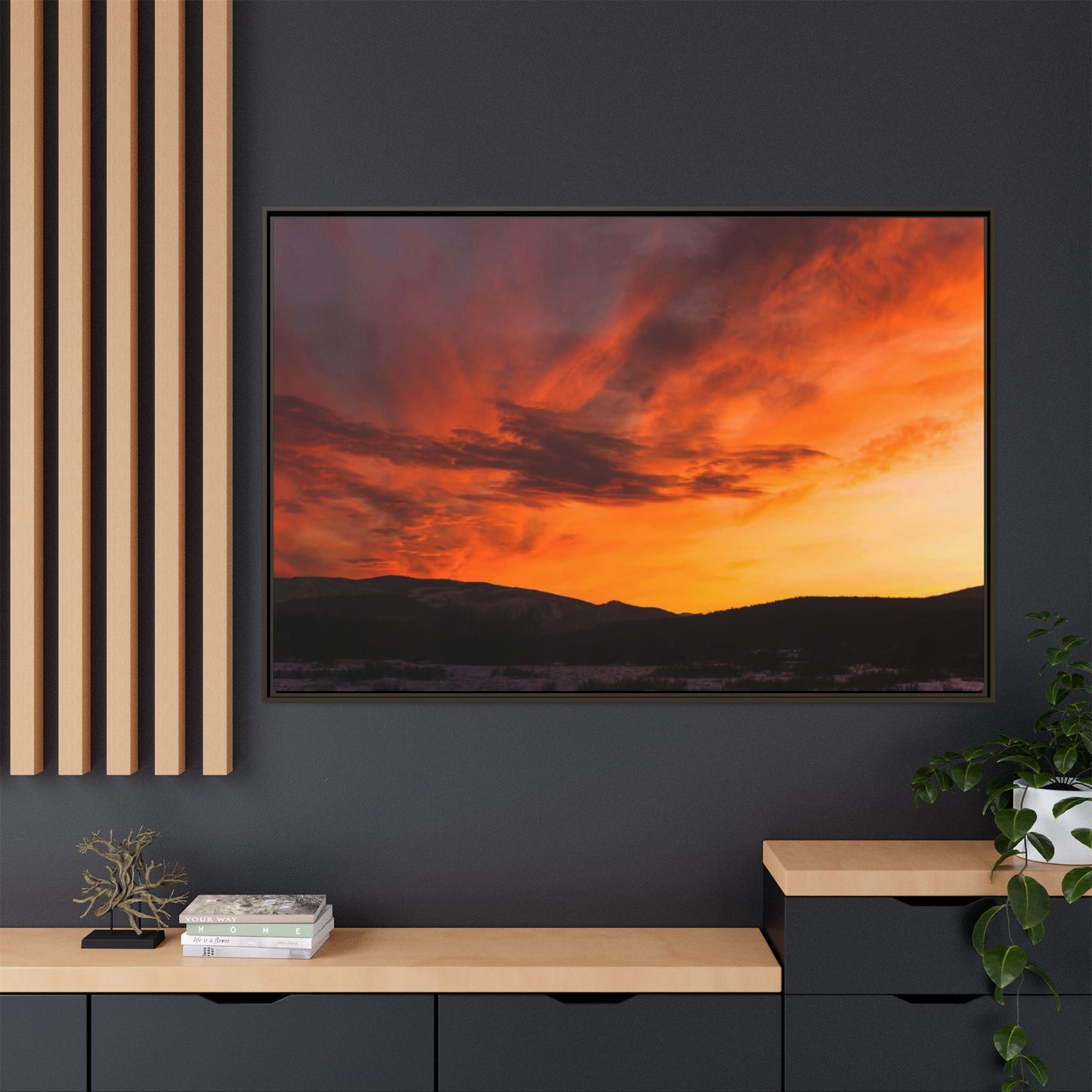 Framed Canvas