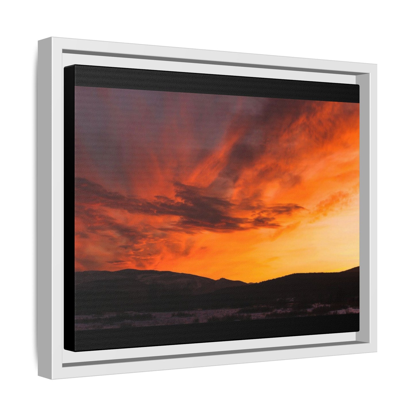 Framed Canvas