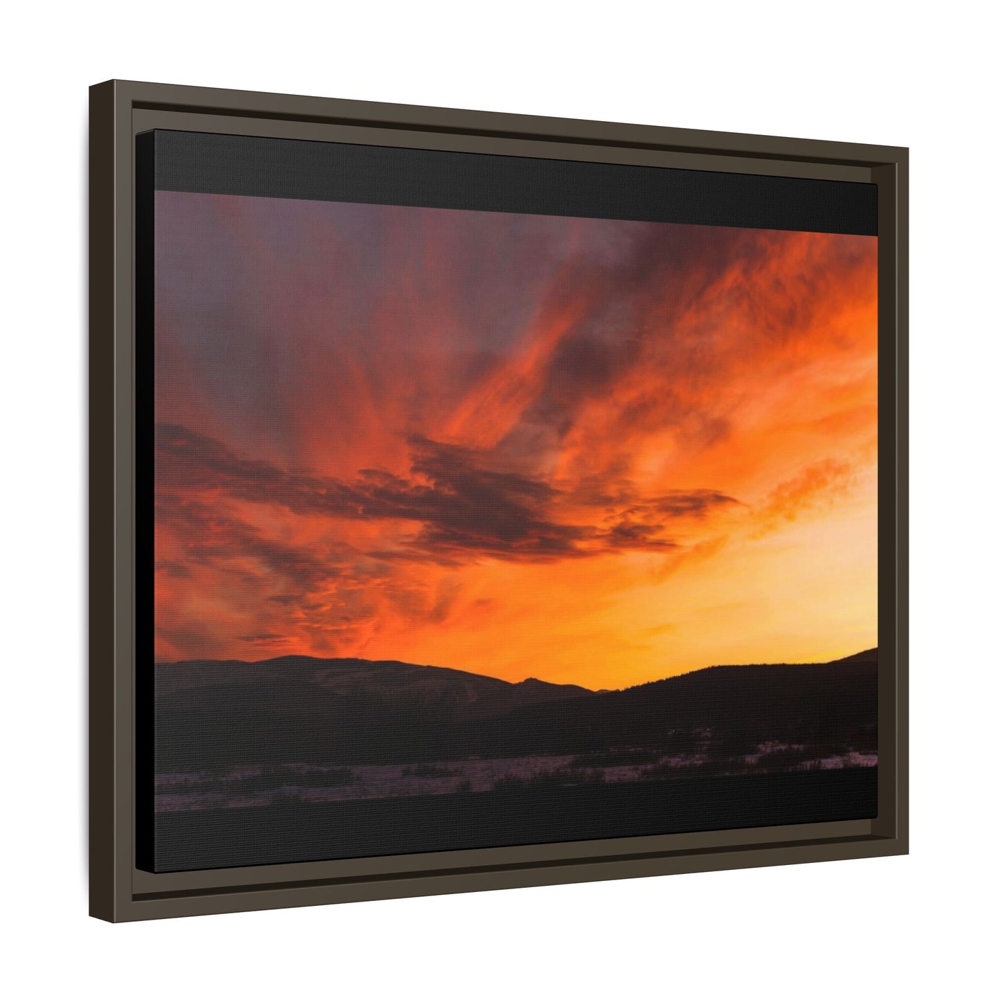 Framed Canvas