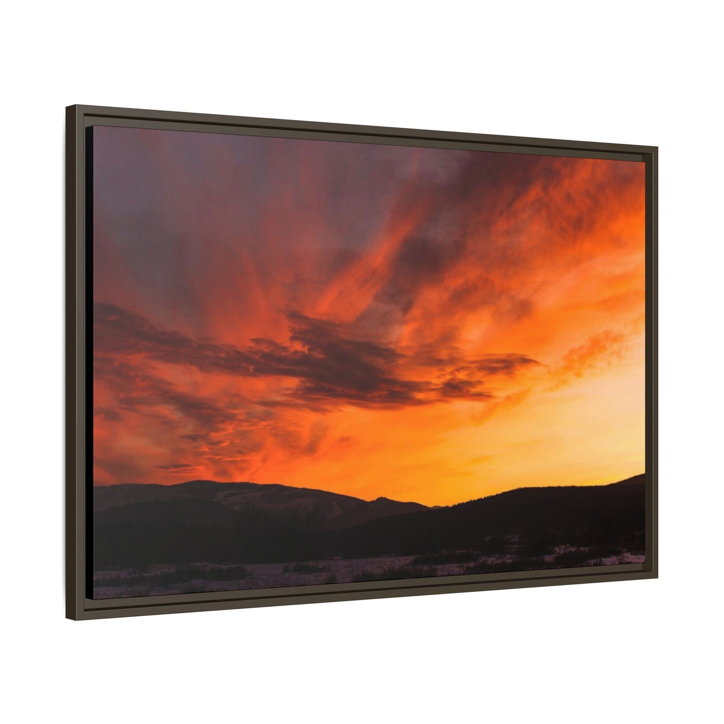Framed Canvas