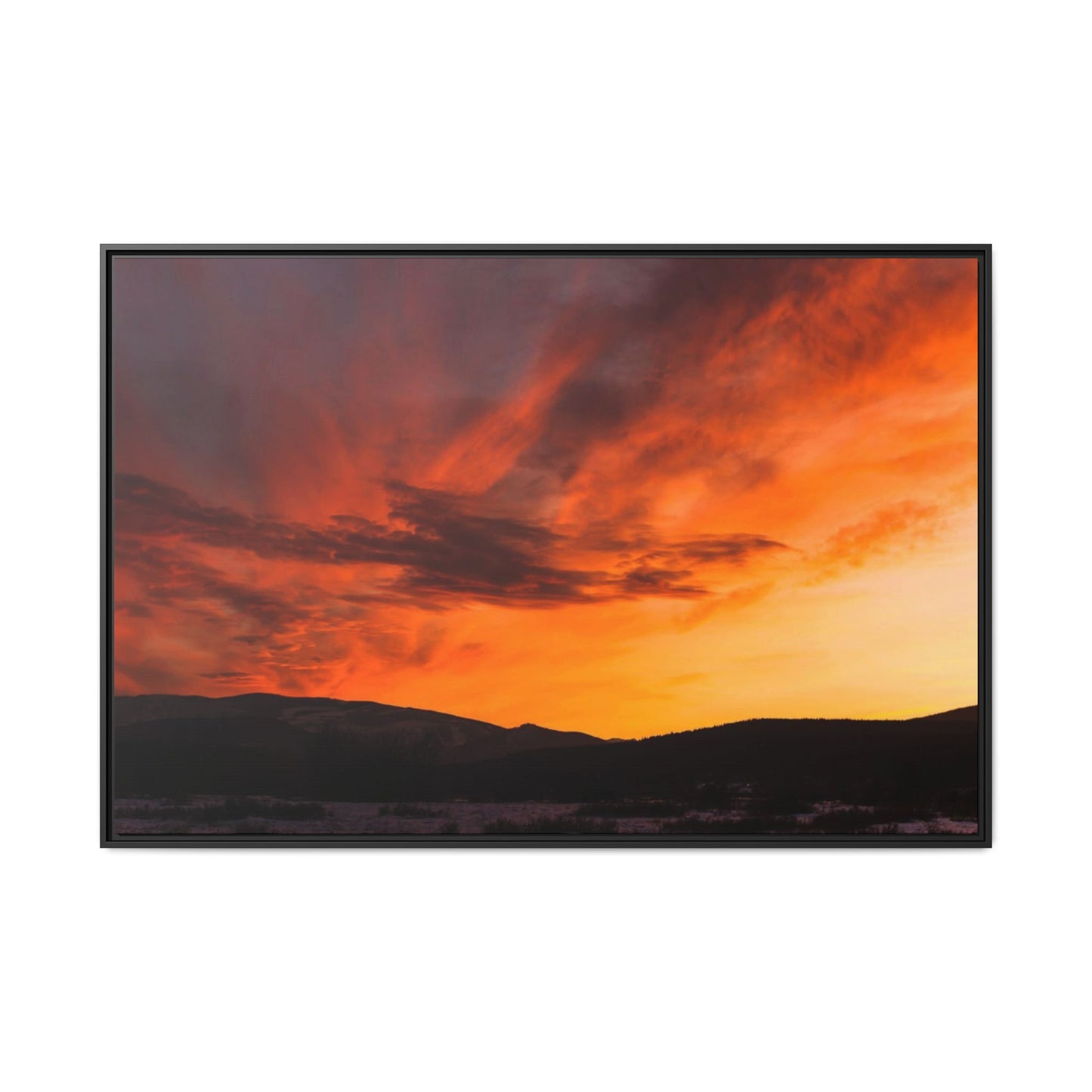 Framed Canvas