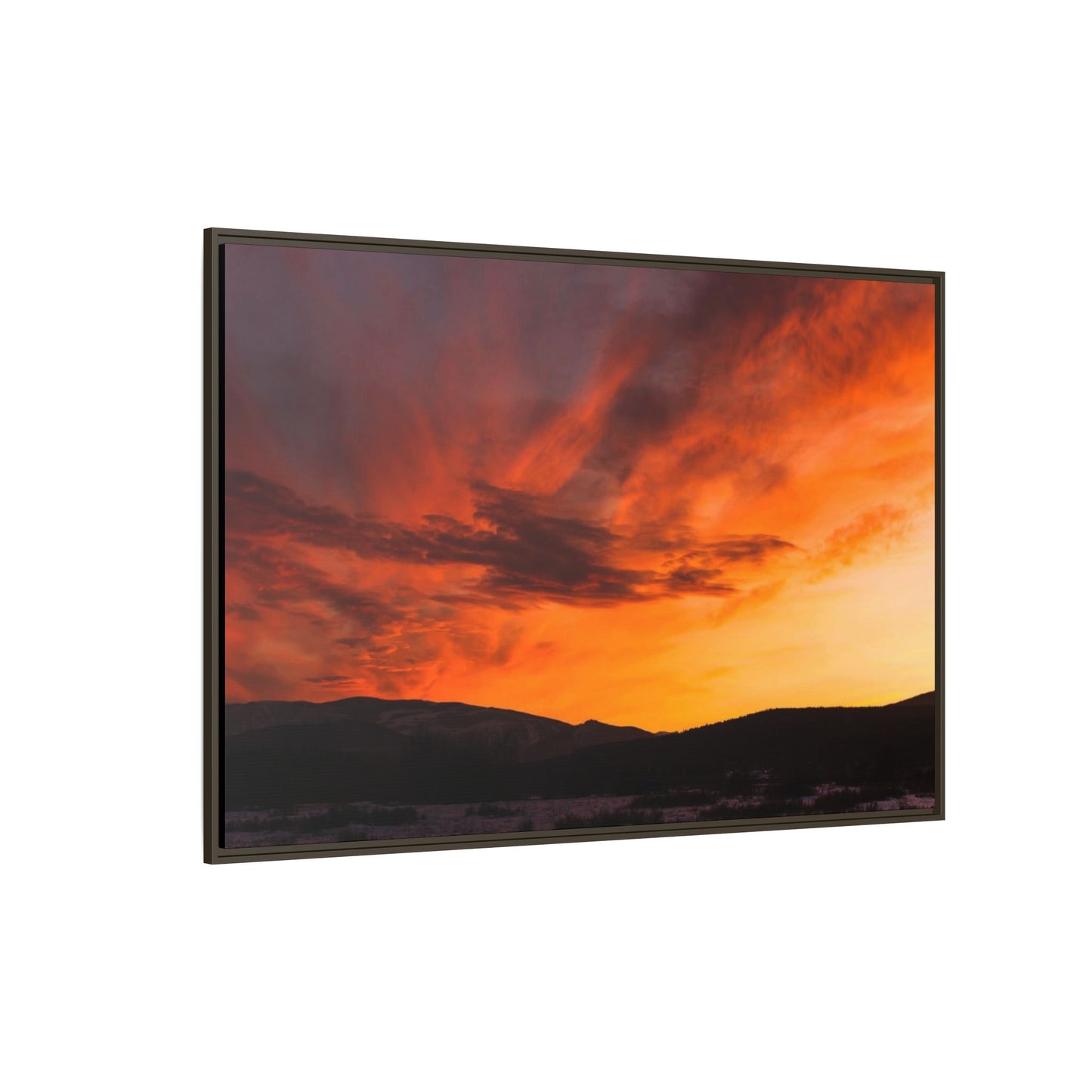 Framed Canvas