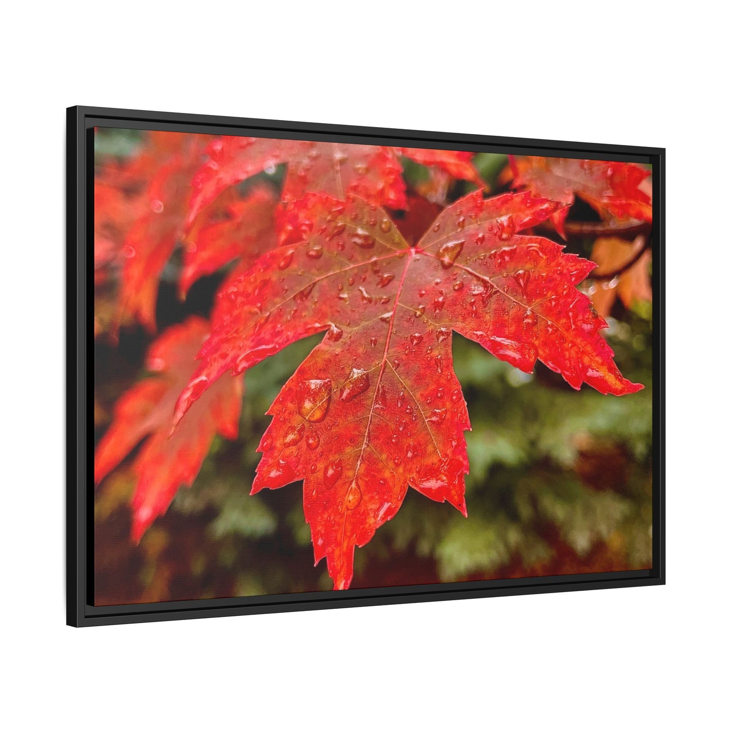 Vibrant Nature Wall Art, Autumn Decor, Framed Canvas Print, Home Decor, Gift for Nature Lovers, Fall Decoration, Thanksgiving