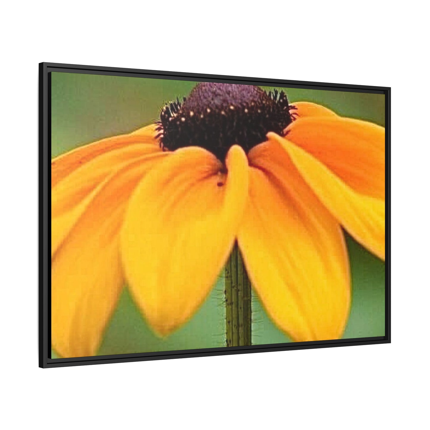 Framed Canvas Art Print, Vibrant Flower Wall Decor, Nature Photography for Home, Gift for Garden Lover, Modern Room Accent, Floral Artwork