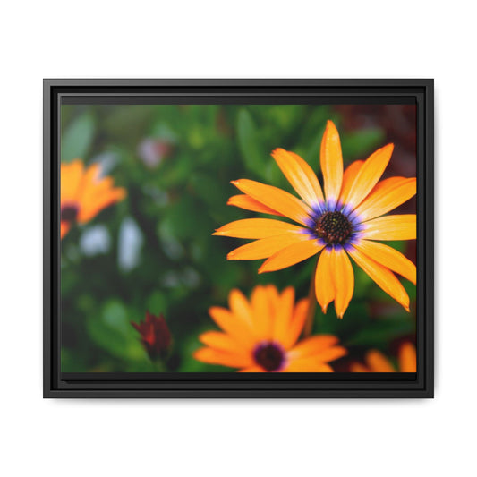Colorful Flower Framed Matte Canvas Art, Bright Home Decor, Floral Wall Art, Gift for Nature Lovers, Cheerful Room Decoration