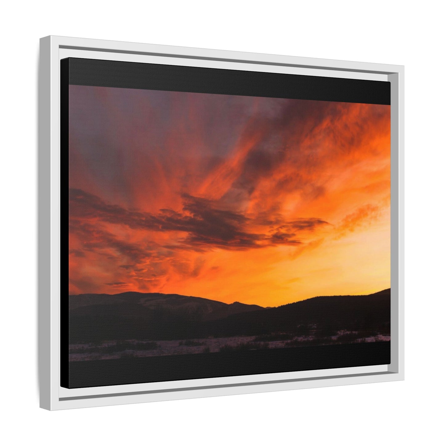 Framed Canvas
