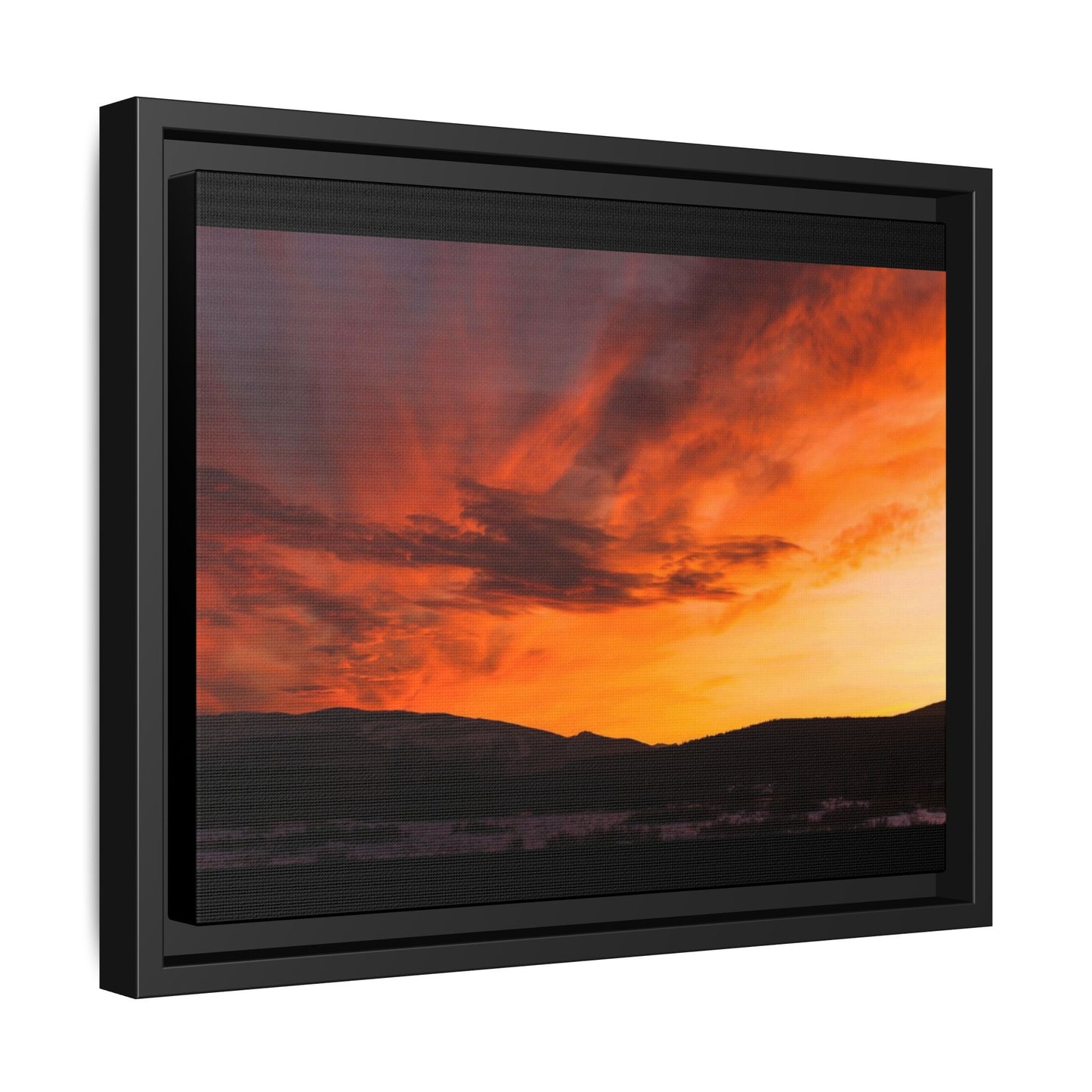 Framed Canvas