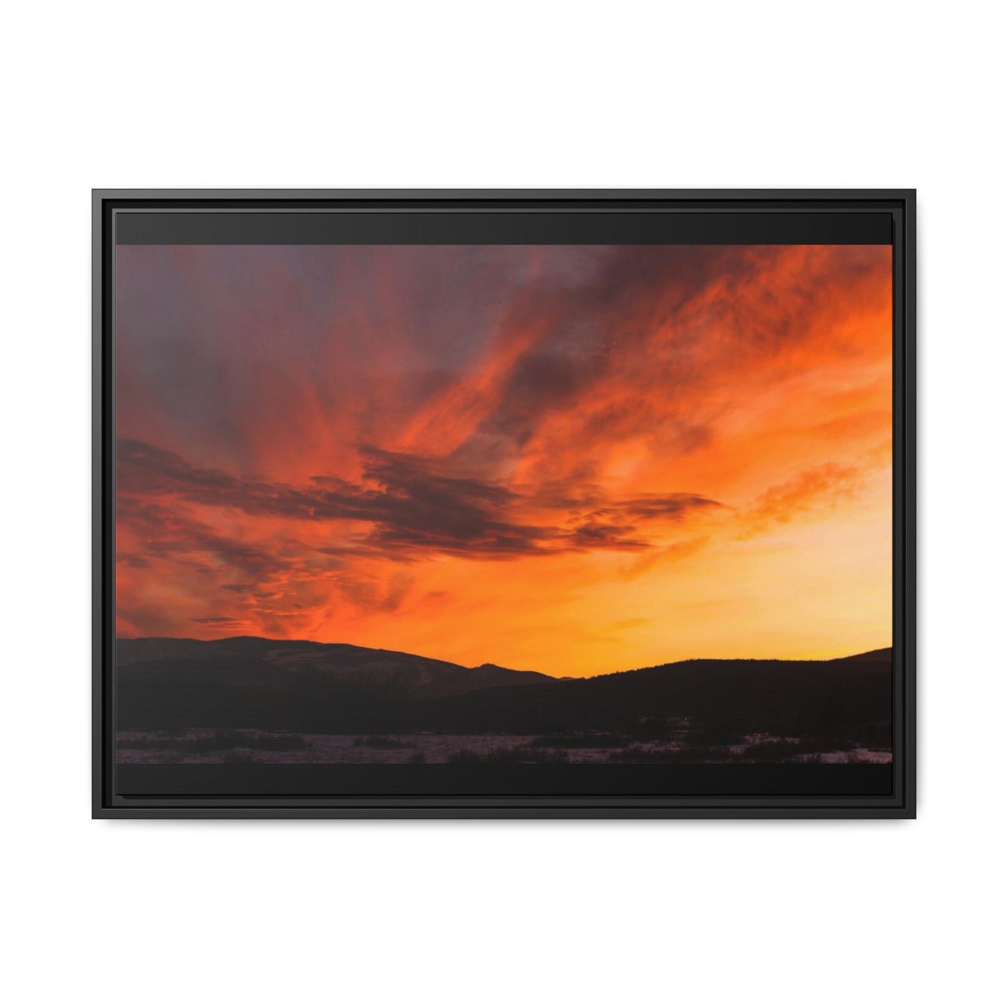 Framed Canvas