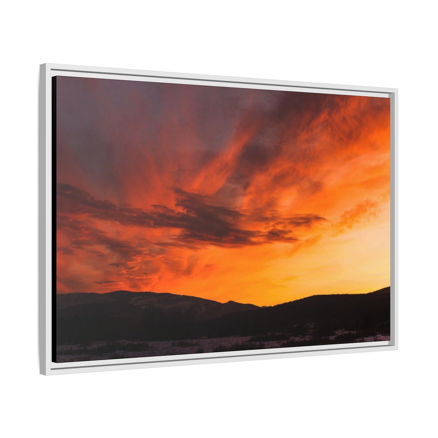 Framed Canvas