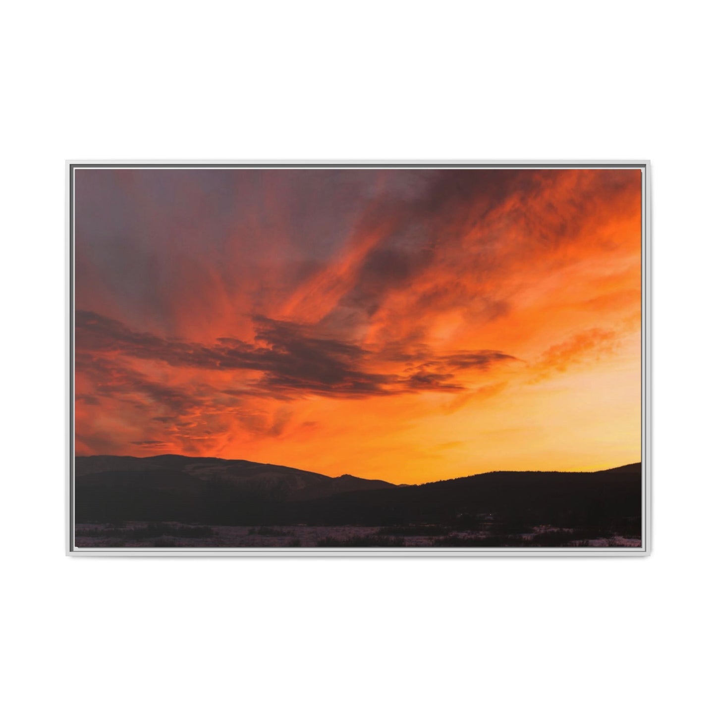 Framed Canvas