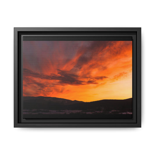 Framed Canvas