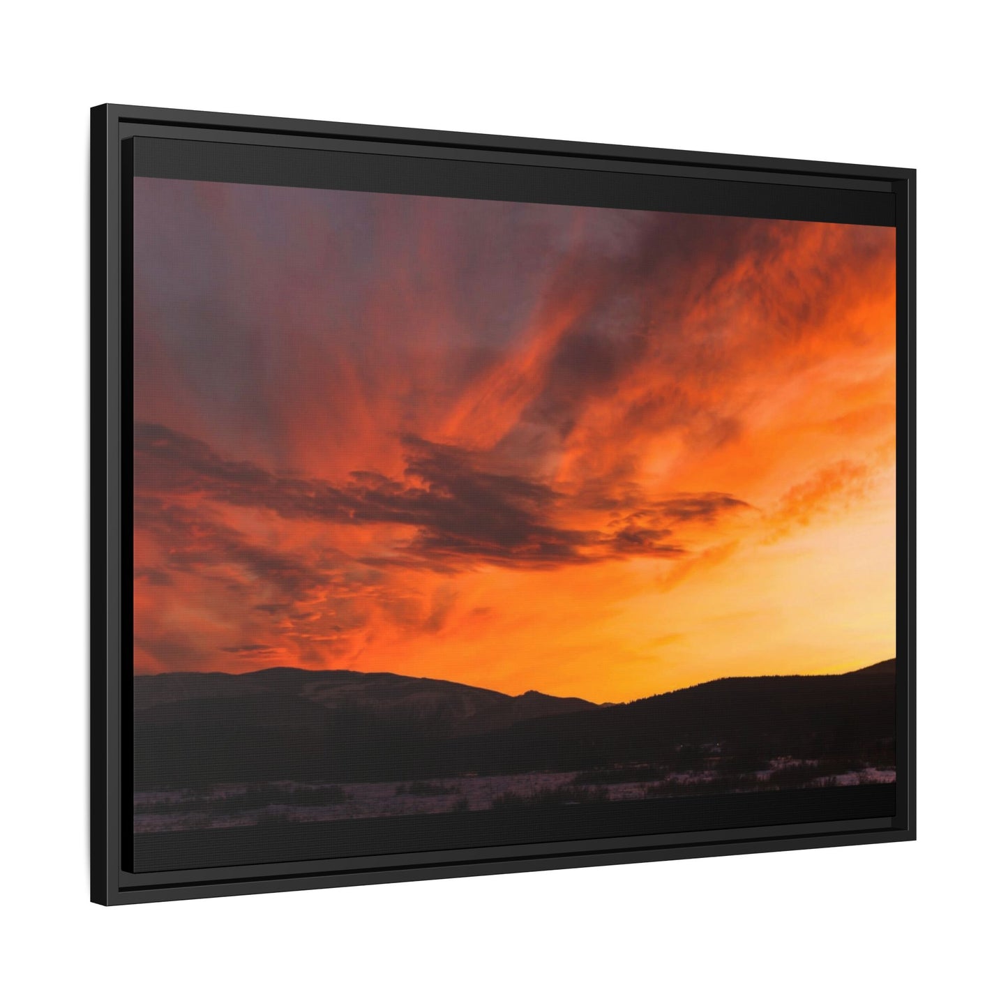 Framed Canvas
