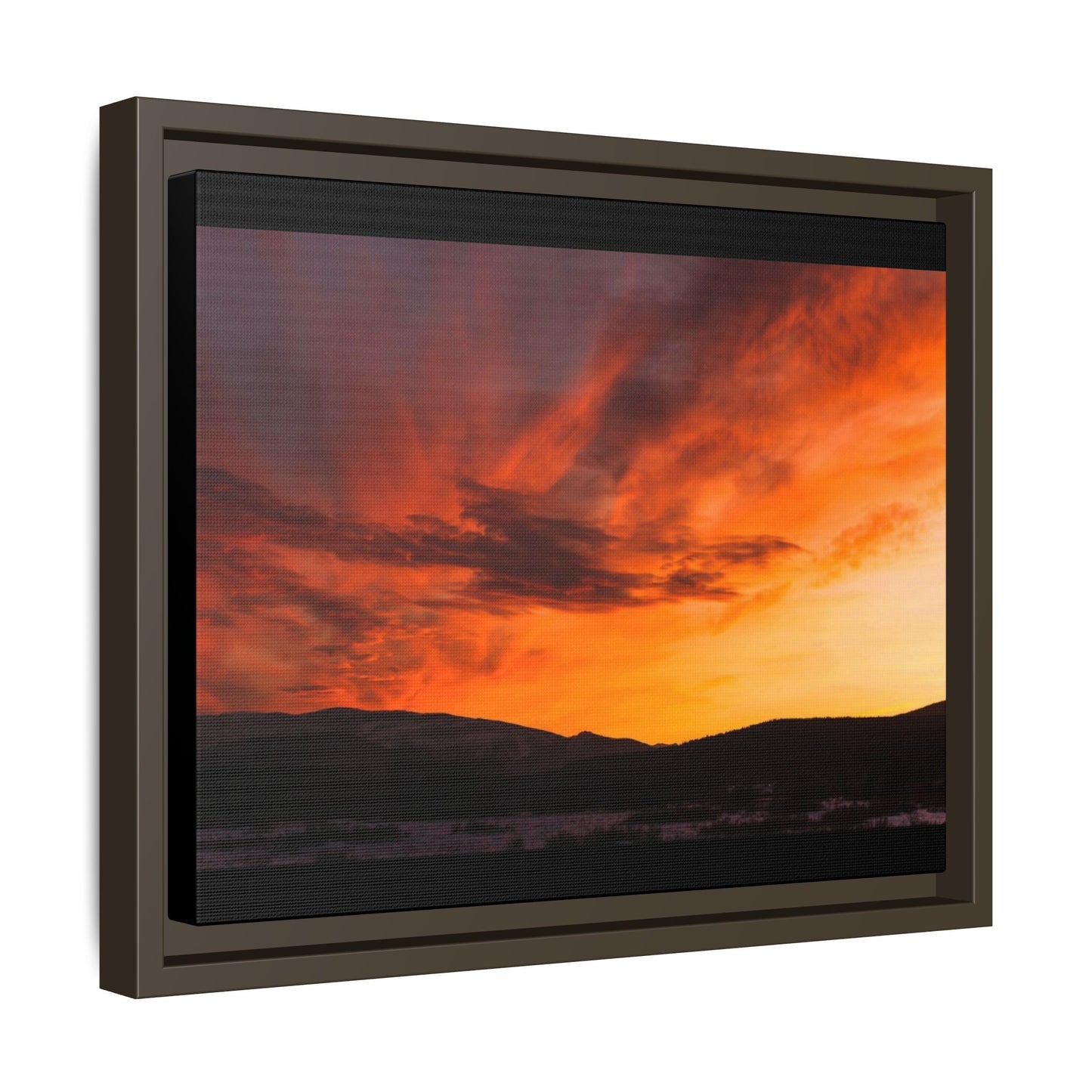 Framed Canvas