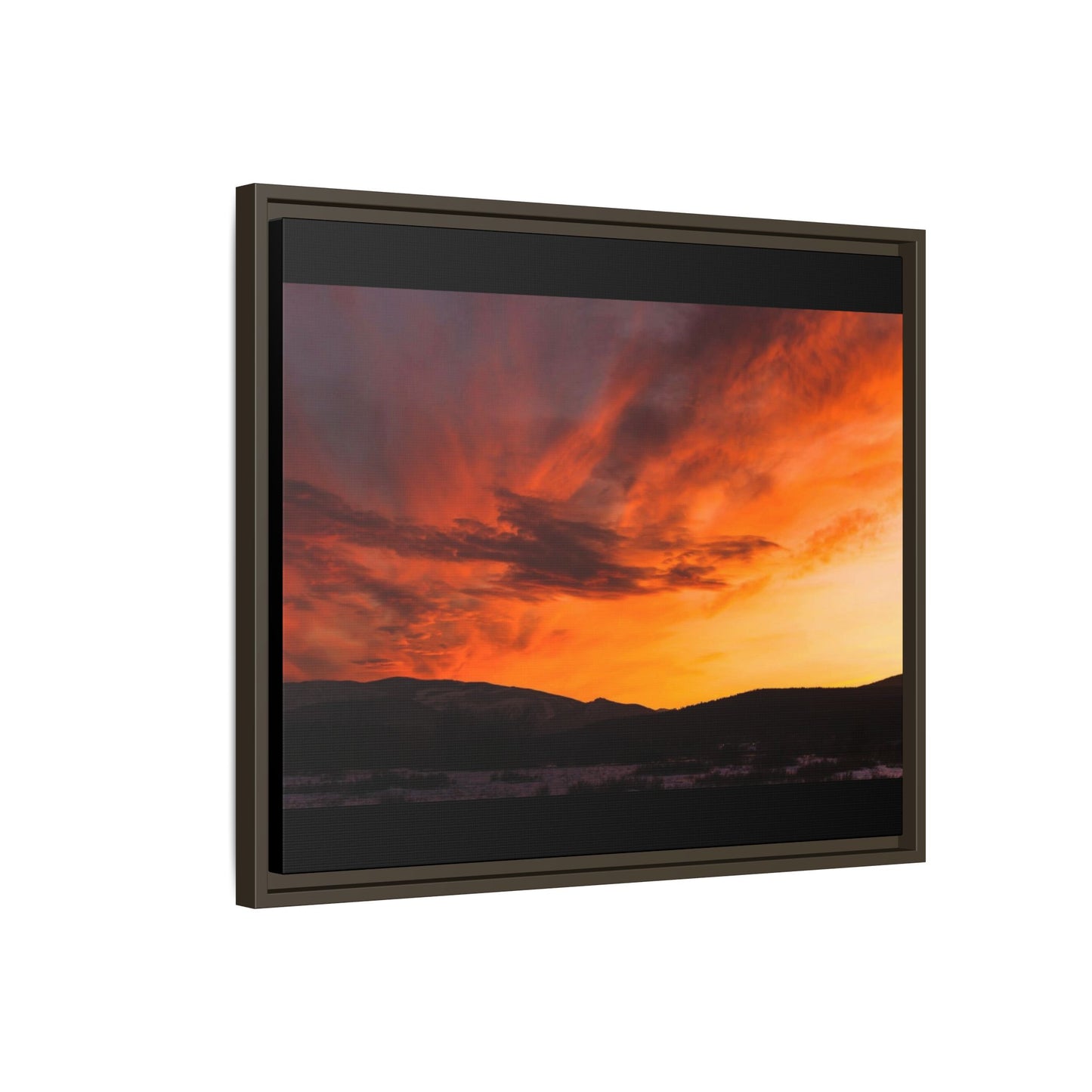 Framed Canvas