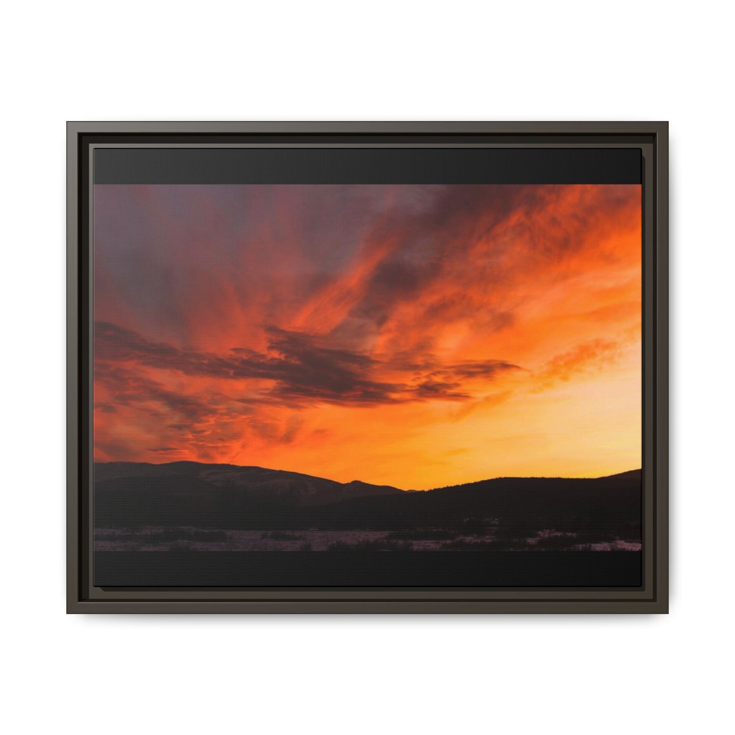Framed Canvas