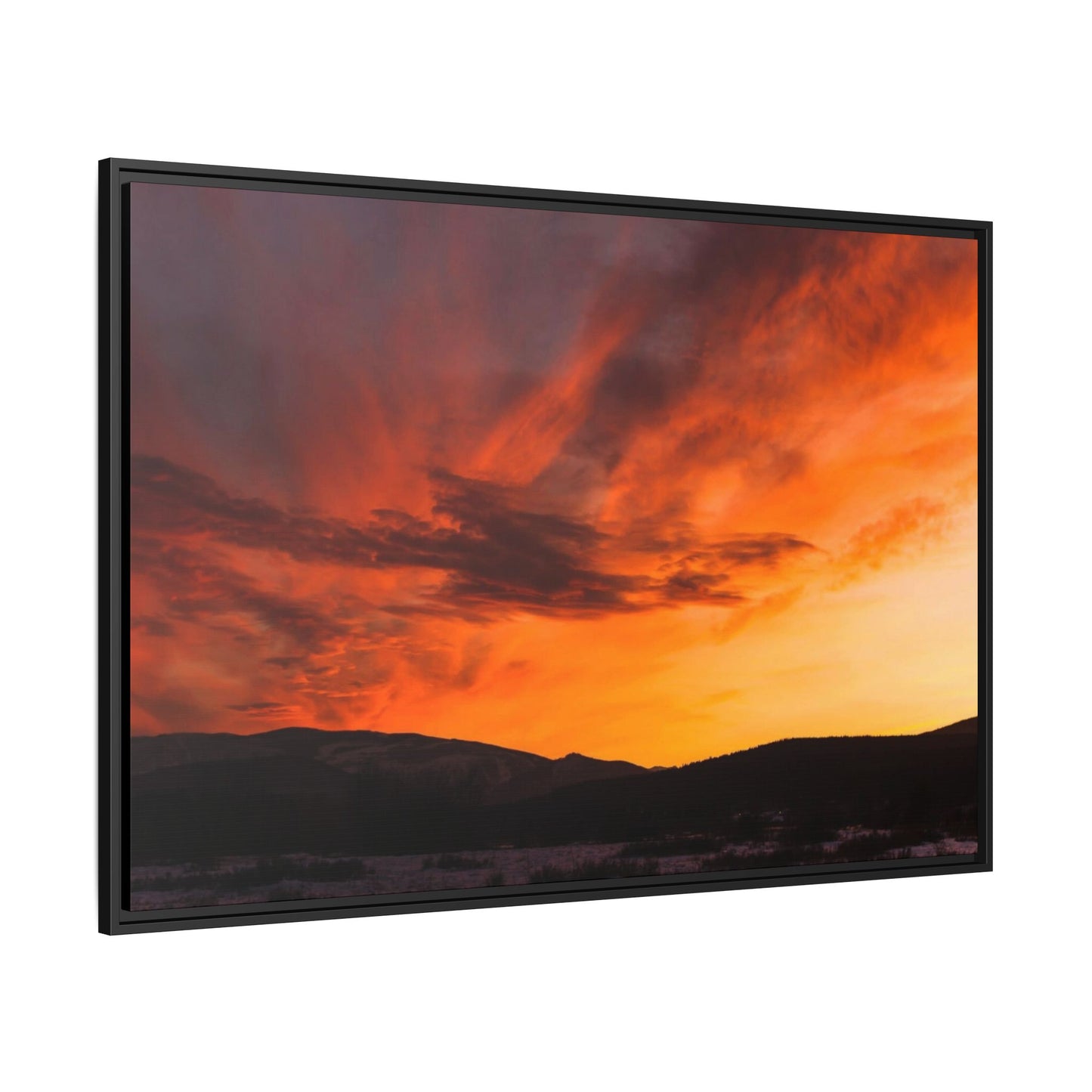 Framed Canvas