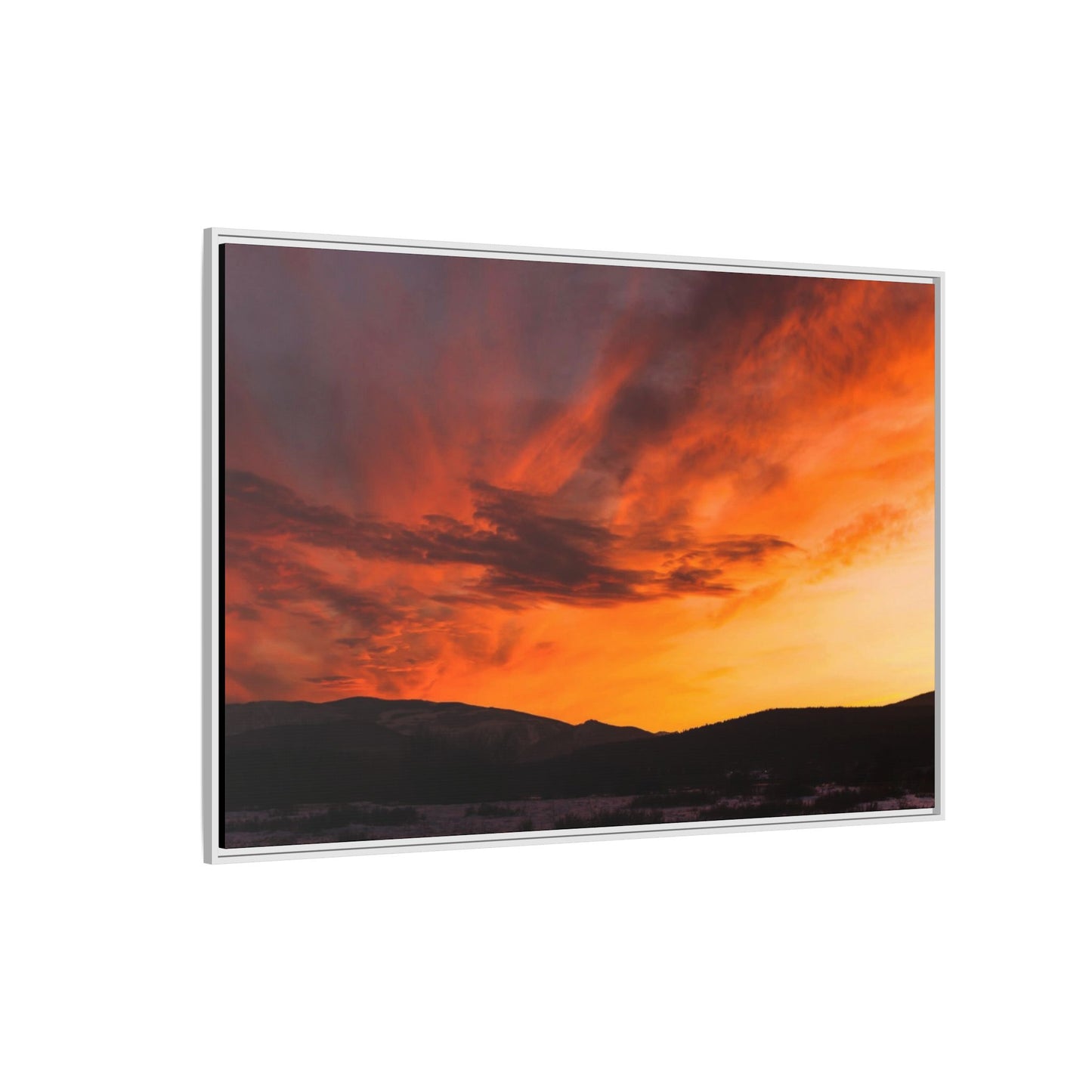 Framed Canvas