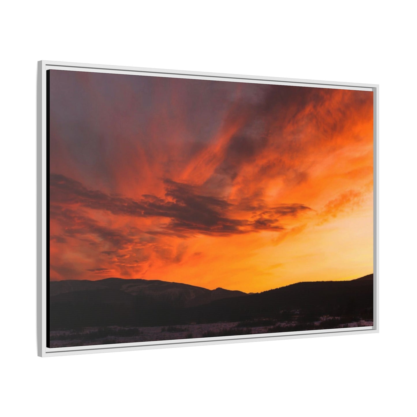 Framed Canvas