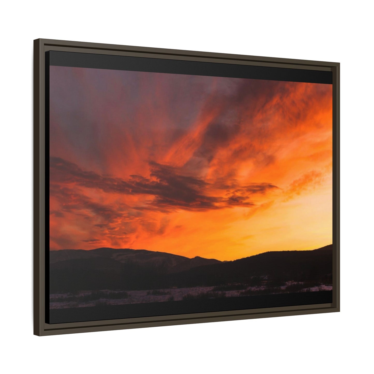 Framed Canvas